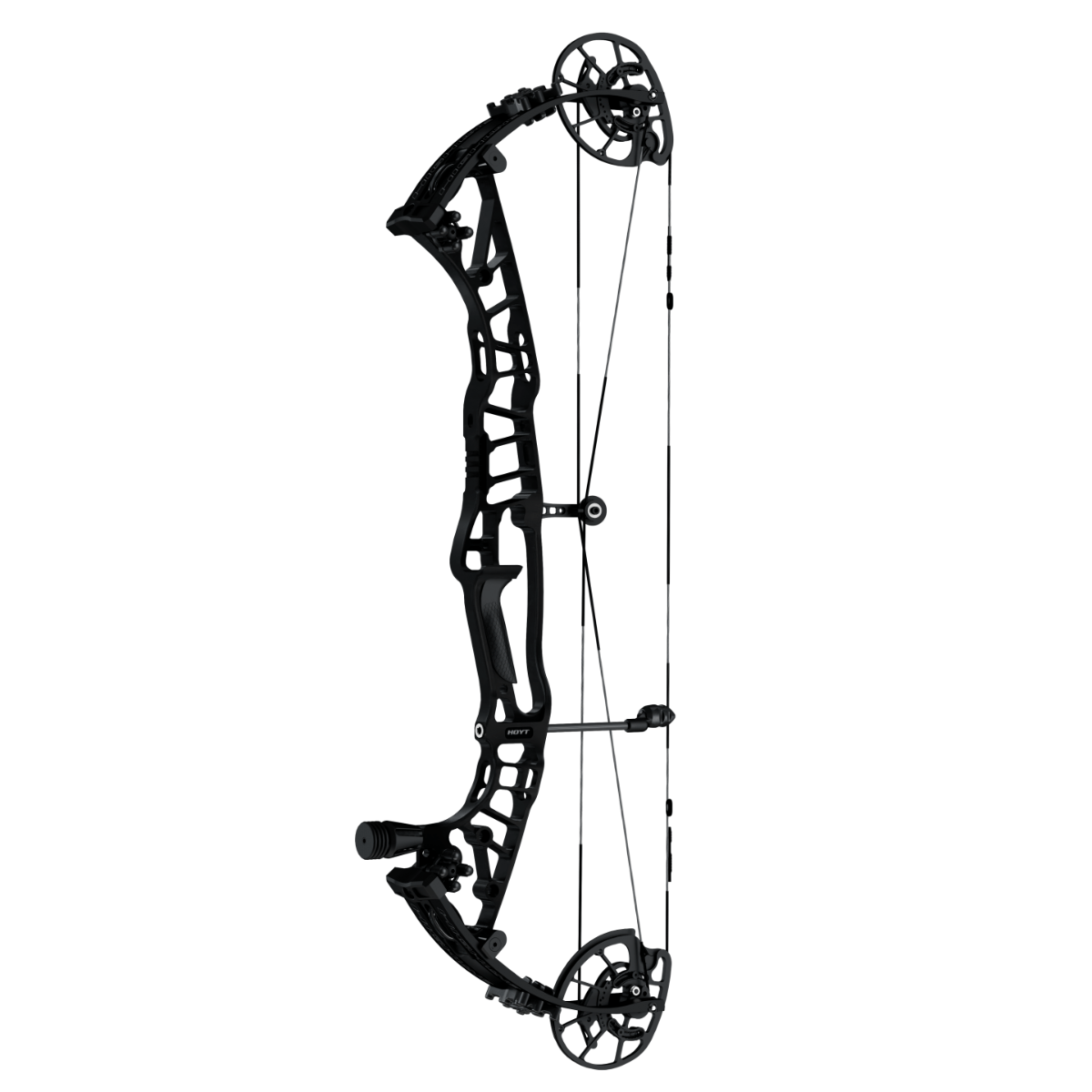 NWEB---HOYTEA-BOW-HIGHLINE.jpg