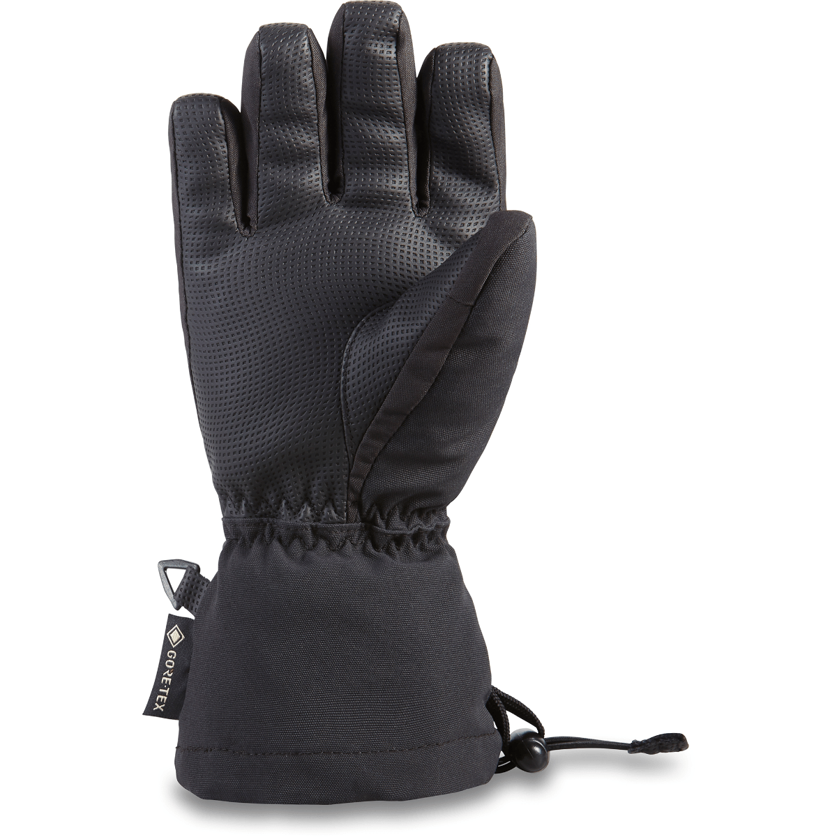 Dakine-Avenger-GORE-TEX-Glove---Kids-.jpg