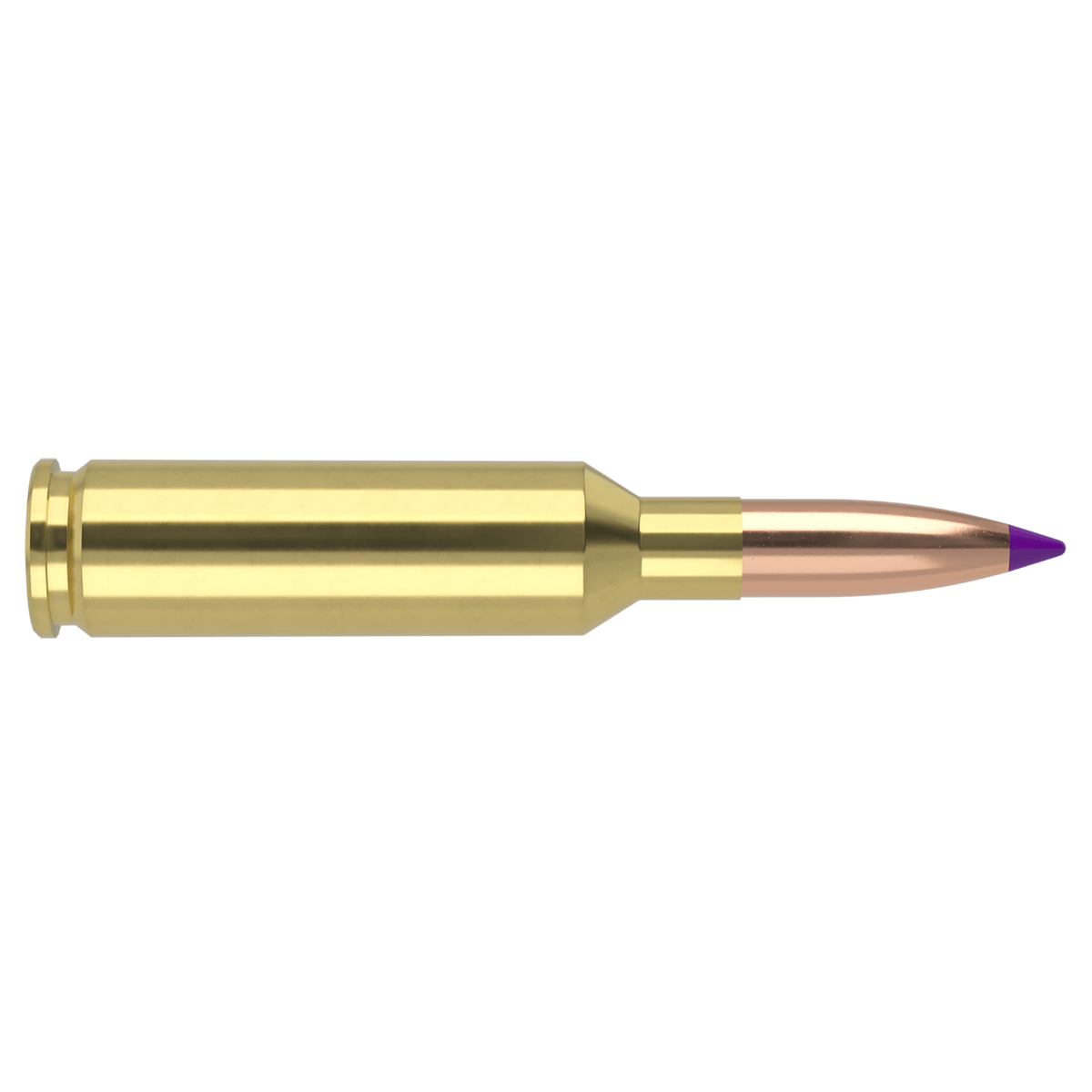 6MM-CREEDMOOR-95GR-BALLISTIC-TIP-HUNTING-AMMUNITION.jpg