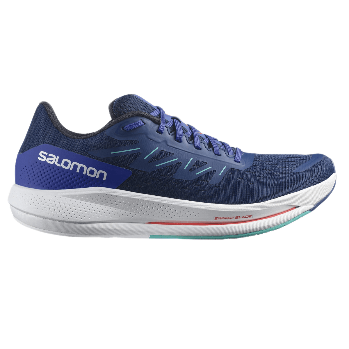 NWEB--M-S-SHOE-SPECTUR.jpg