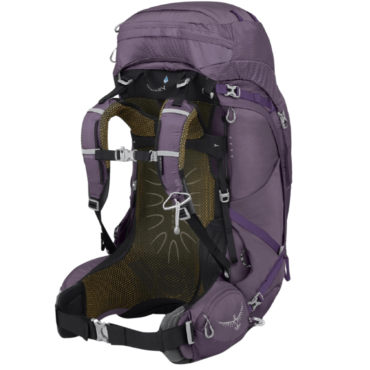 NWEB---OSPREY-WOMENS-AURA-AG-65.jpg