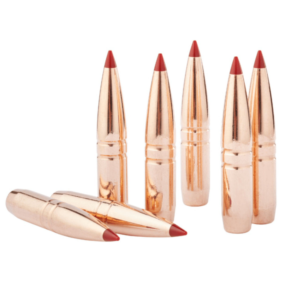 Hornady-CX-Bullets.jpg