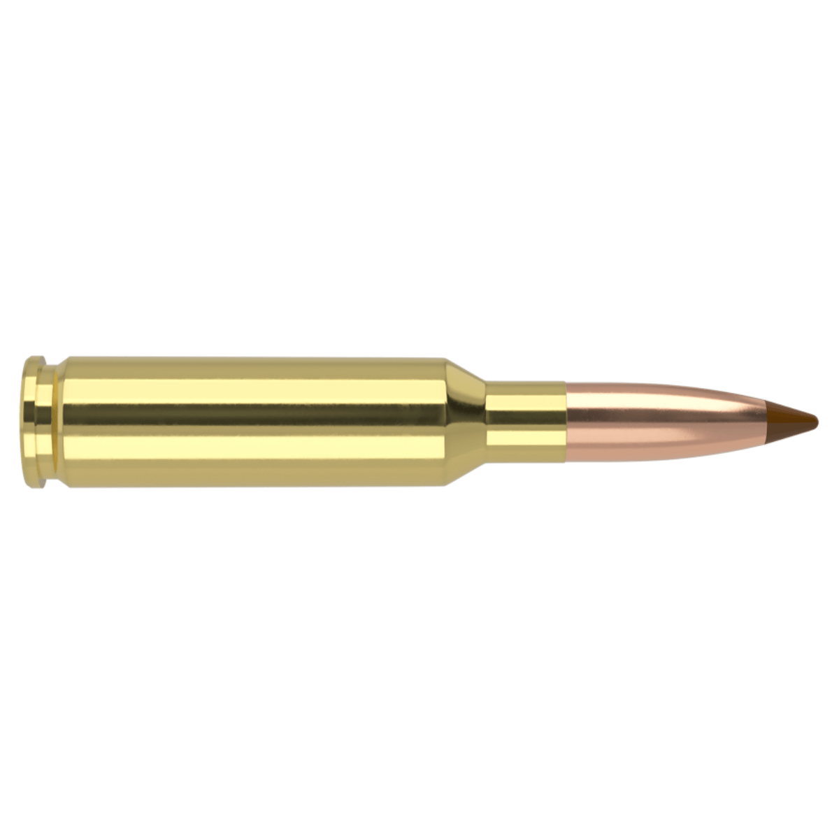 NWEB--AMMO-BALLISTIC-TIP.jpg