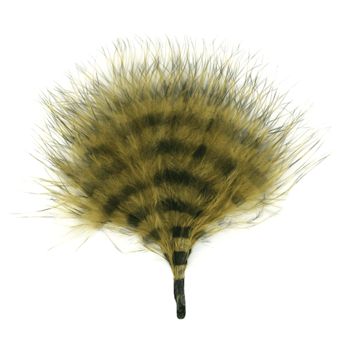 MFC-Barred-Marabou-3--5--Feathers.jpg