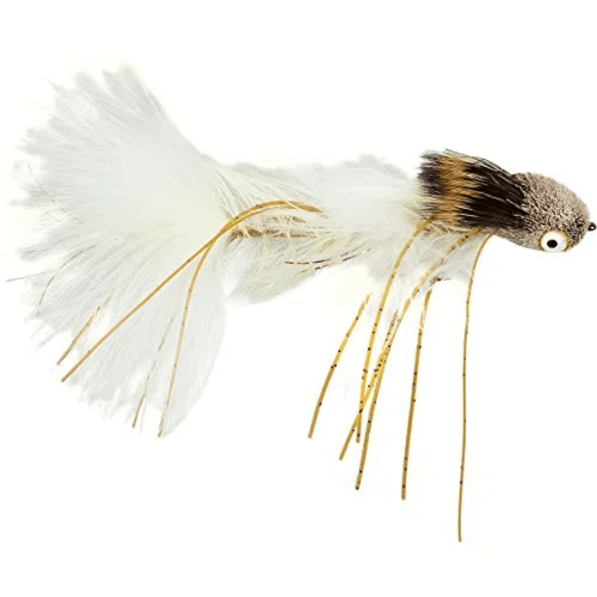 MFC-Galloup-s-Dungeon-Fly.jpg