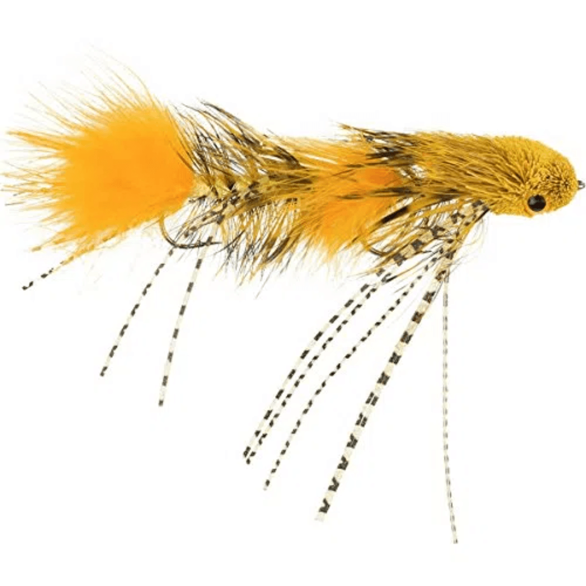 MFC-Galloup-s-Dungeon-Fly.jpg