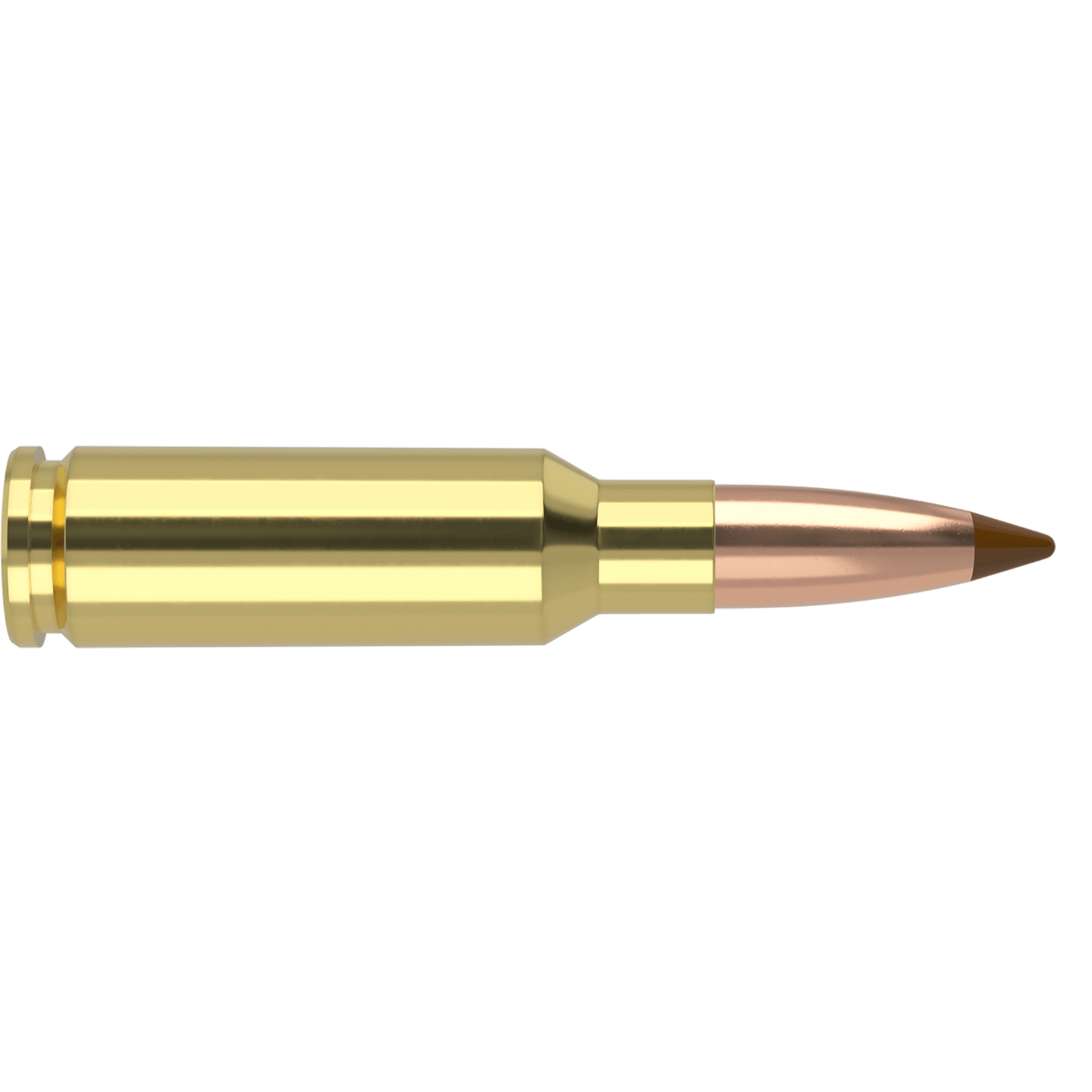 Nosler-Ballistic-Tip-Hunting-Ammunition.jpg