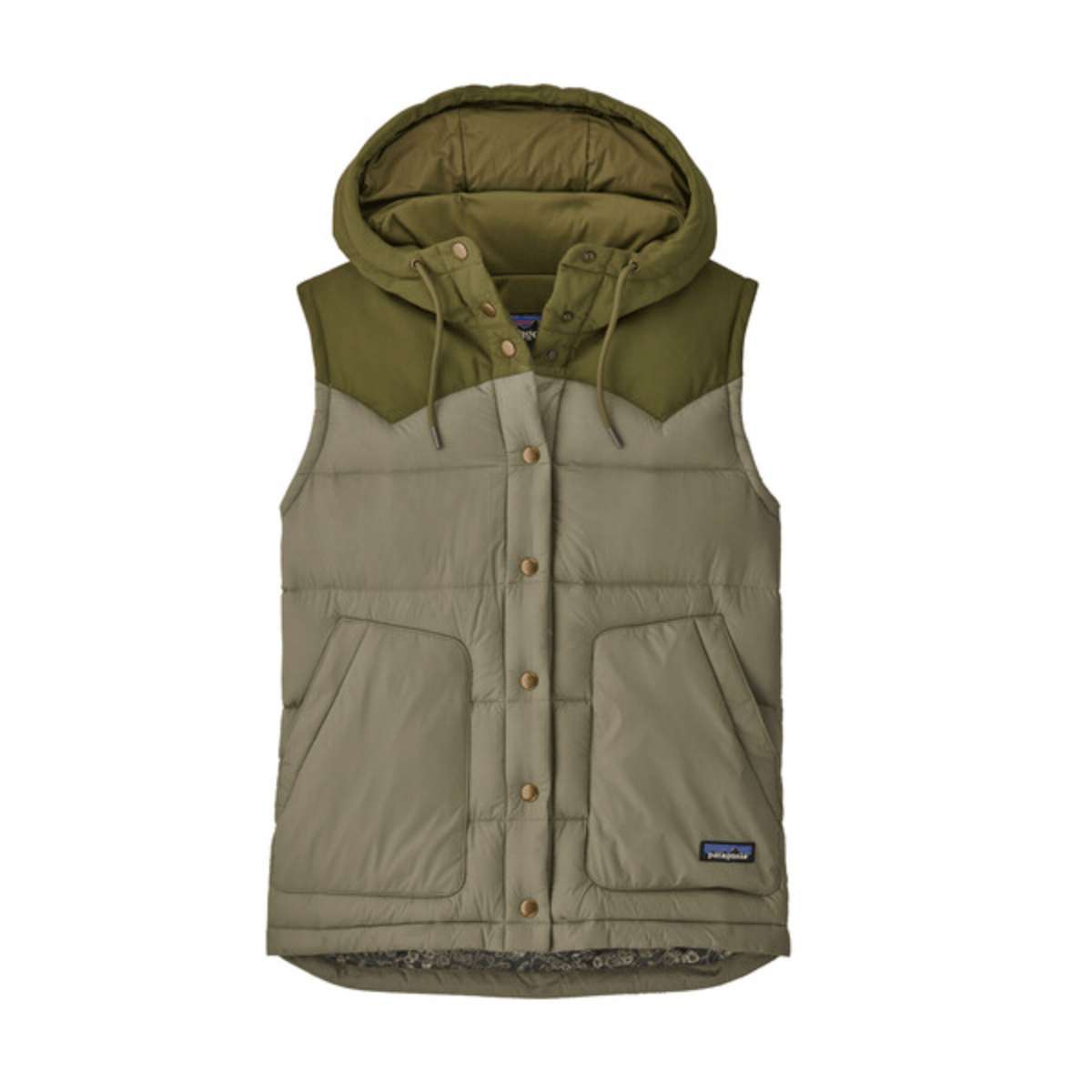 Patagonia Bivy Hooded Down Vest Women s Als