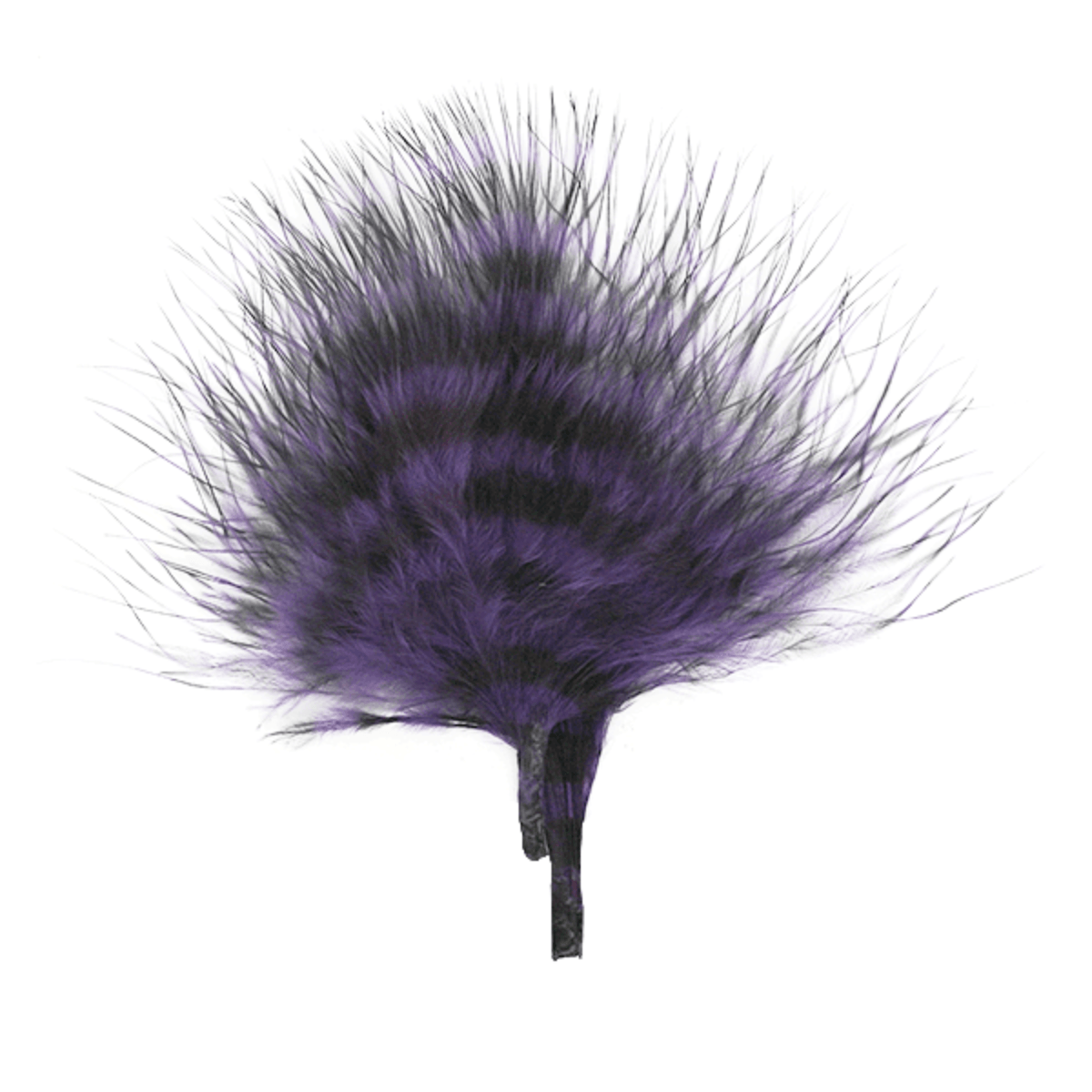 MFC-Barred-Marabou-3--5--Feathers.jpg