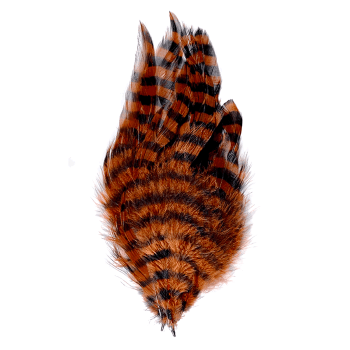 MFC-Barred-Schlappen-Feathers.jpg