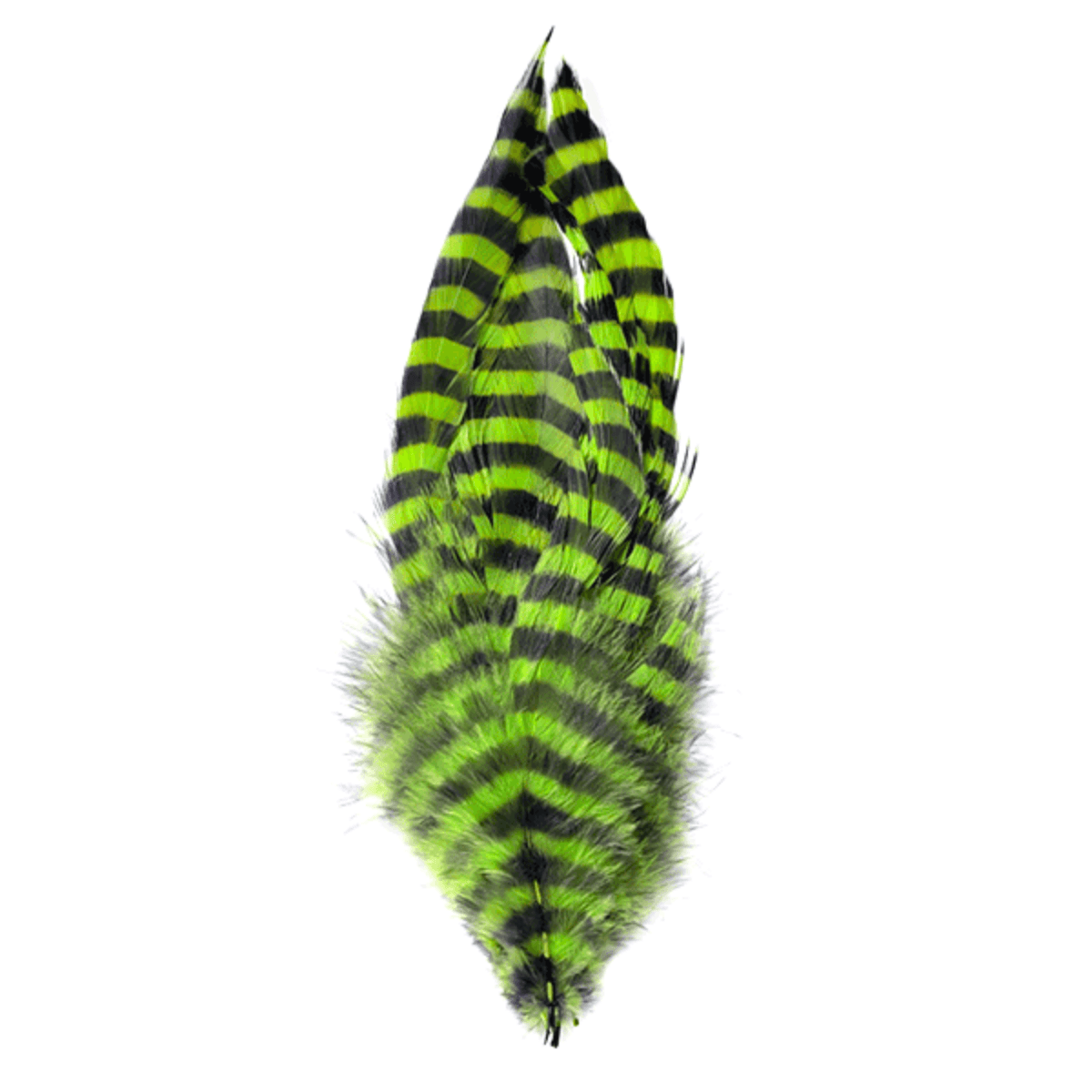 MFC-Barred-Schlappen-Feathers.jpg
