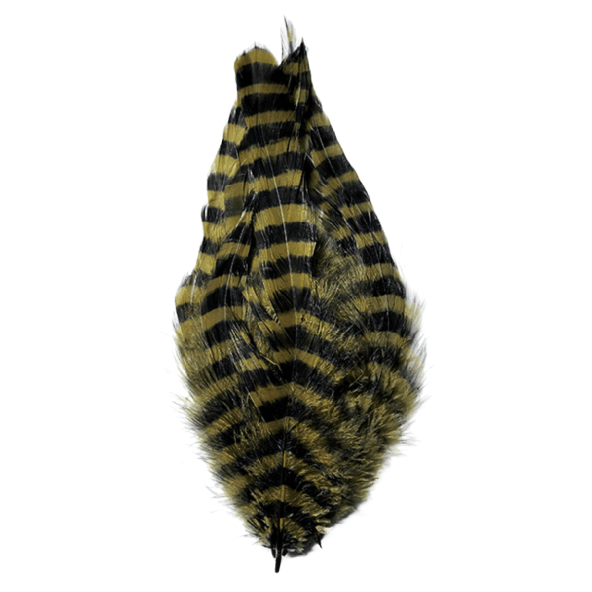 MFC-Barred-Schlappen-Feathers.jpg