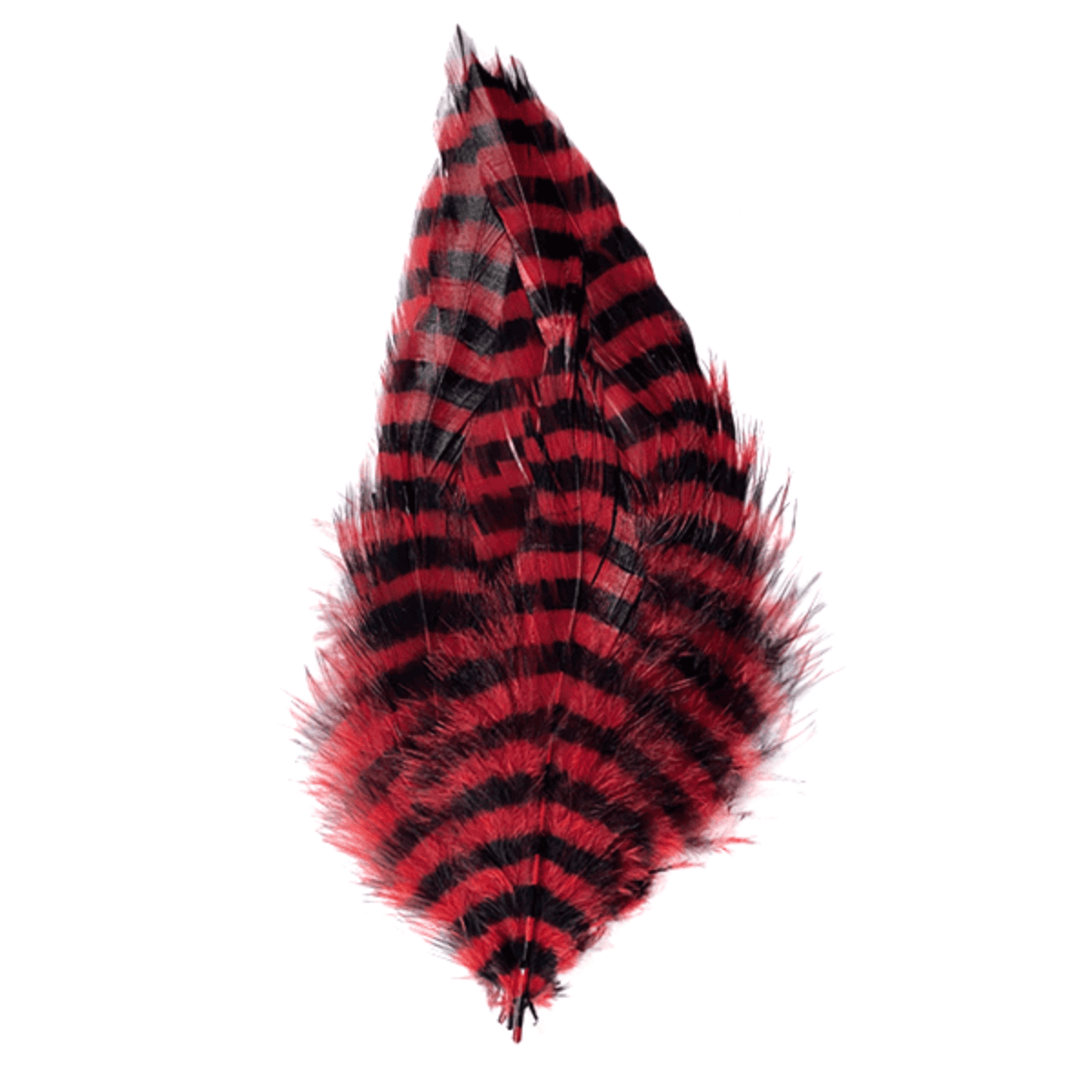 MFC-Barred-Schlappen-Feathers.jpg
