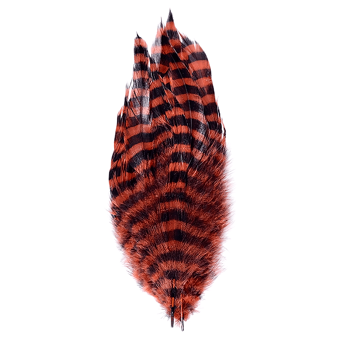 MFC-Barred-Schlappen-Feathers.jpg