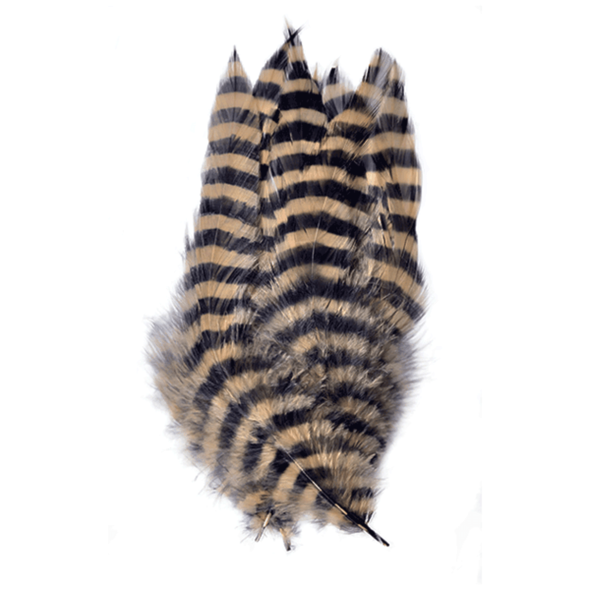 MFC-Barred-Schlappen-Feathers.jpg