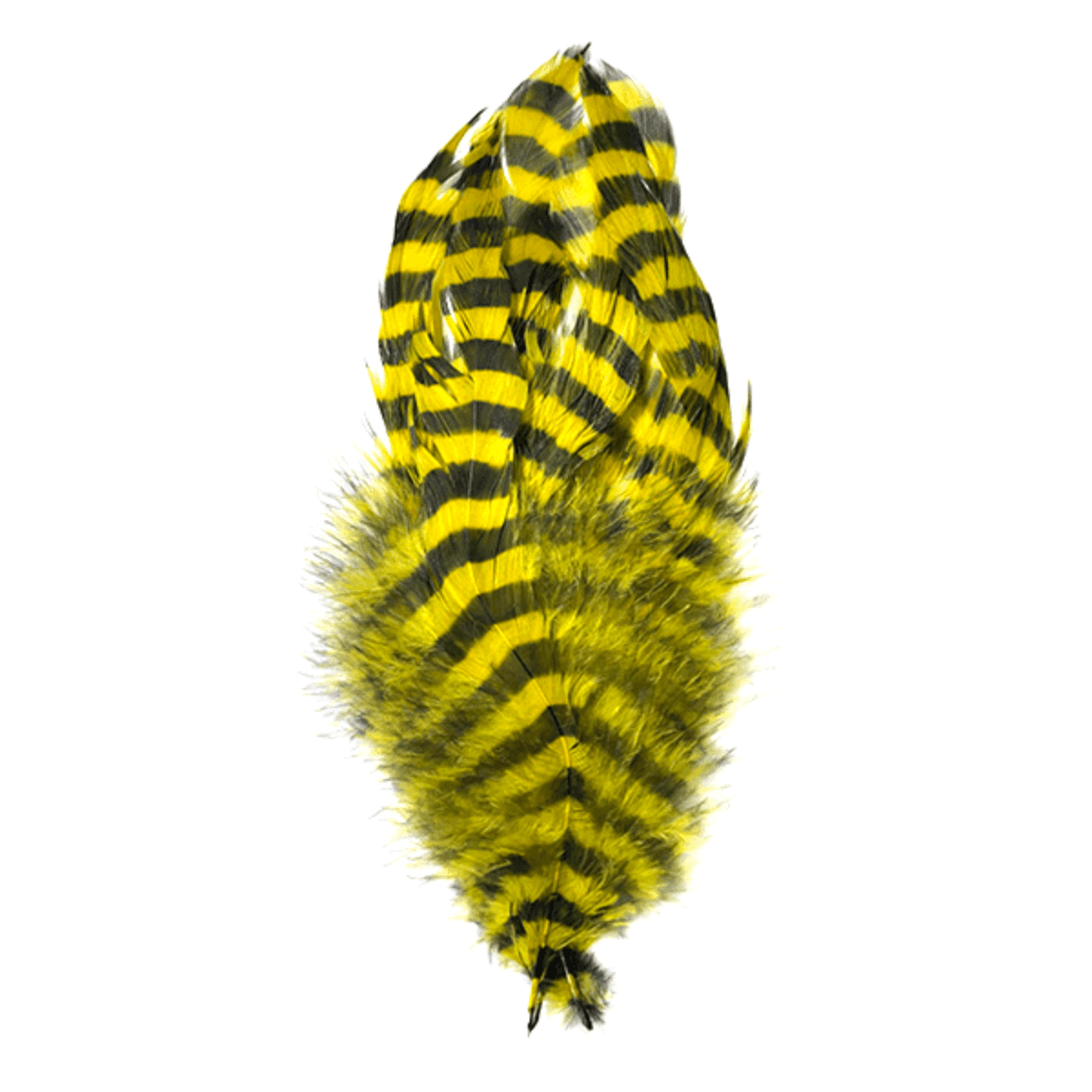 MFC-Barred-Schlappen-Feathers.jpg