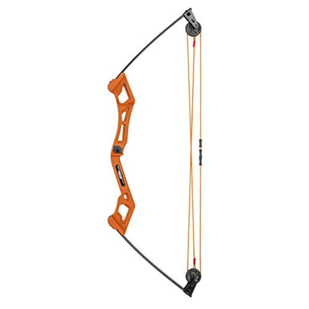 Bear-Archery-Apprentice-Bow-Set.jpg
