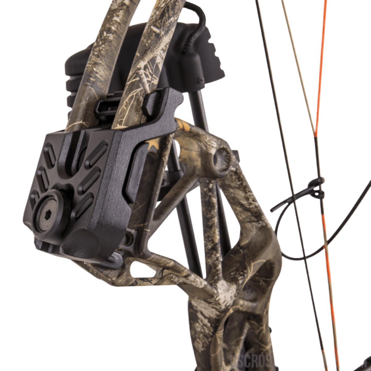 Bear-Archery-Paradox-RTH-Compound-Bow---VEILALPINE.jpg