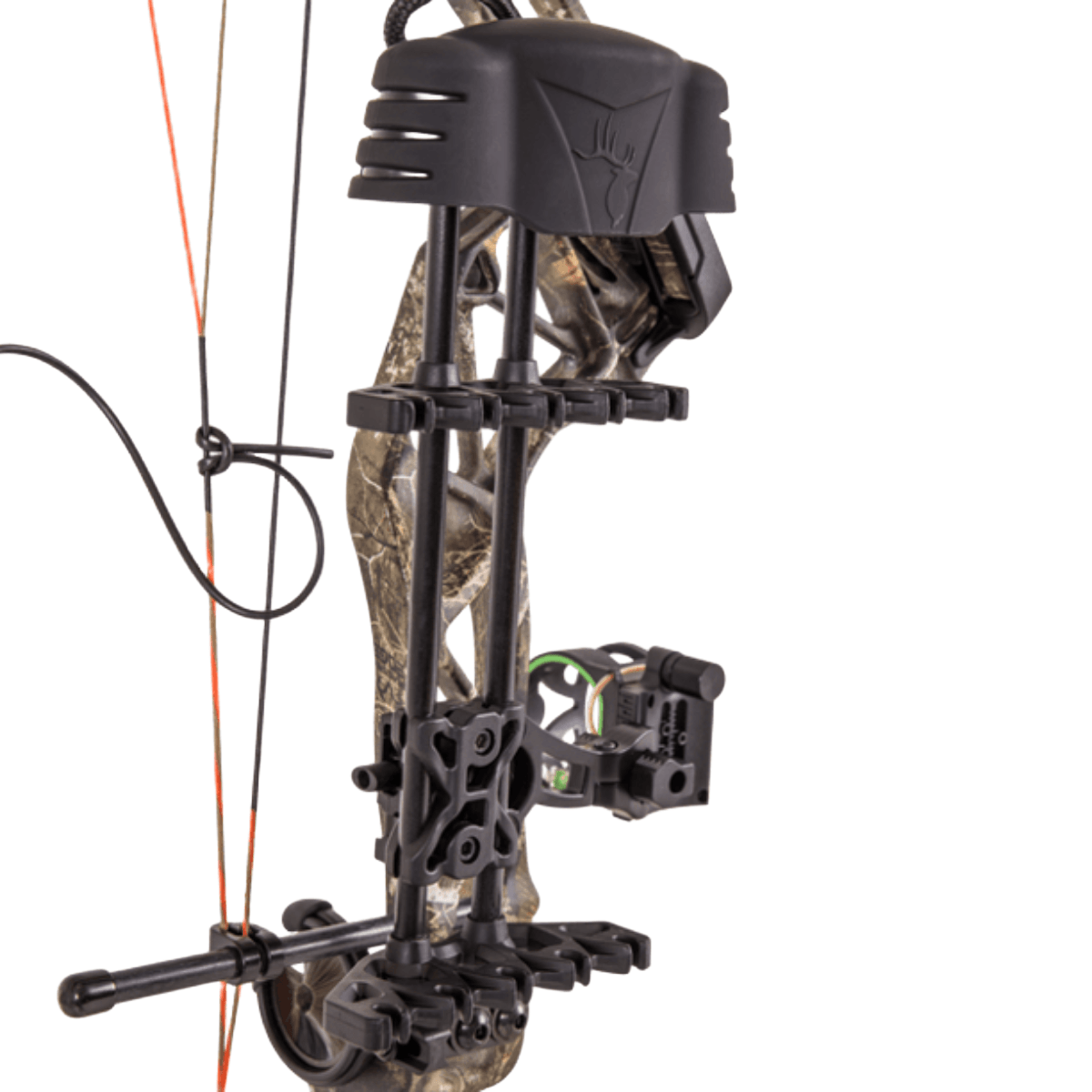 Bear-Archery-Paradox-RTH-Compound-Bow---VEILALPINE.jpg