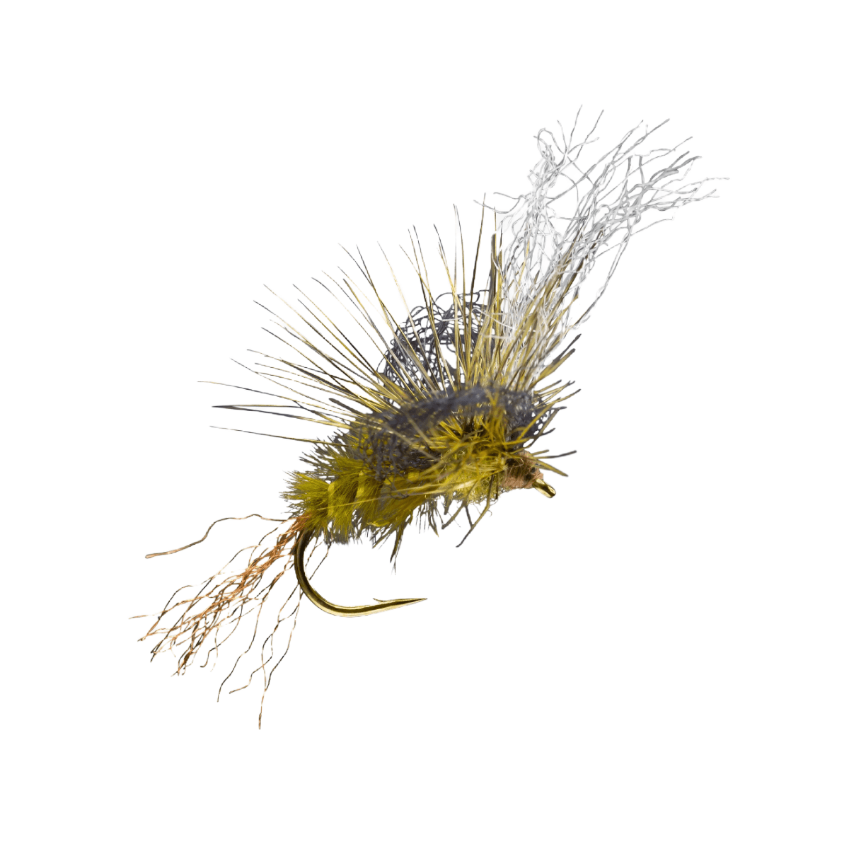 RIO-FLY-LOOPY---Bwo.jpg