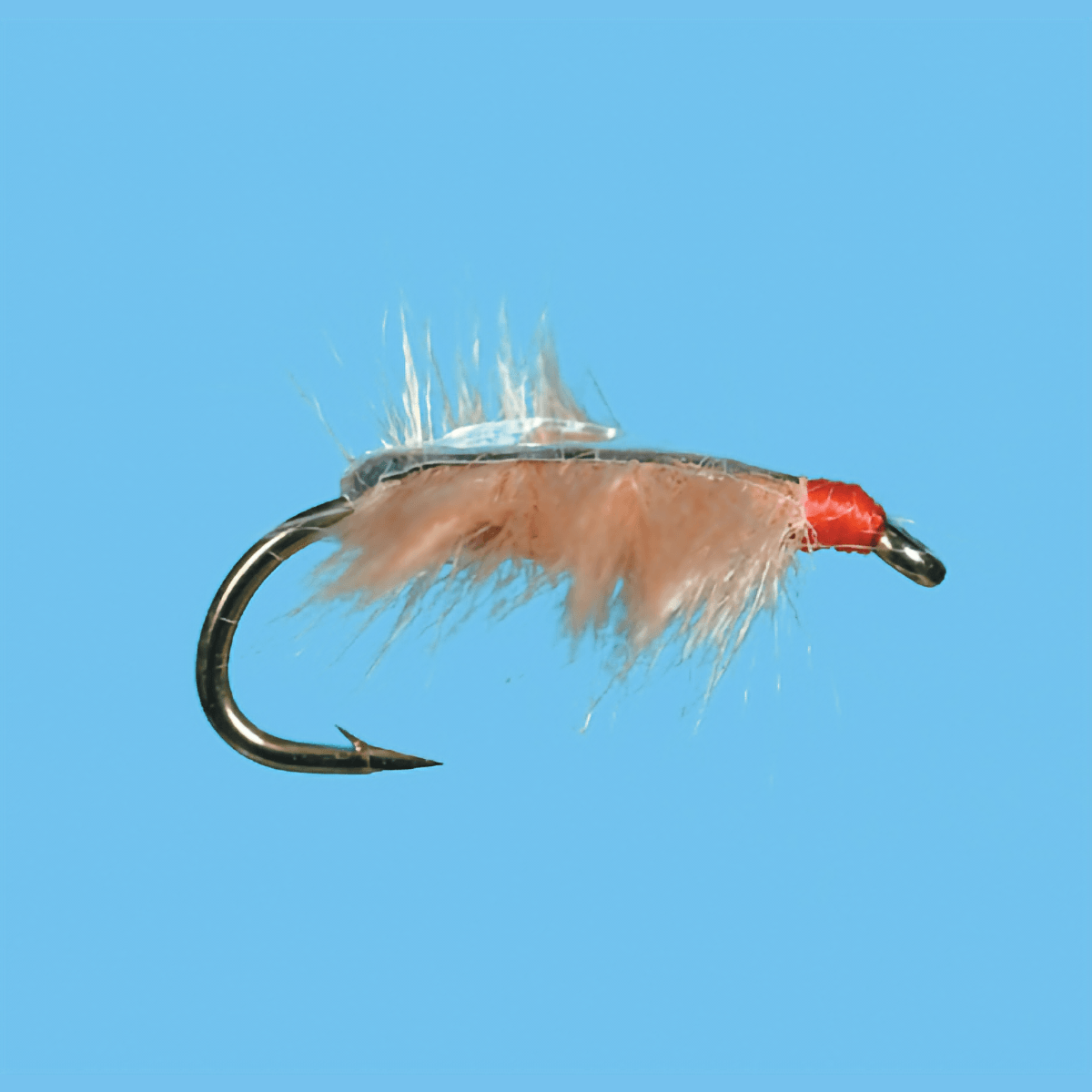 SOLITU-FLY-SOW-BUG---Tan.jpg