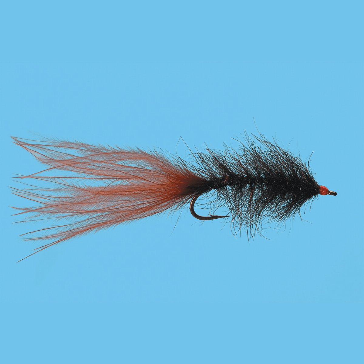 SOLITU-FLY-HALE-BOPP-LEECH---Brown.jpg
