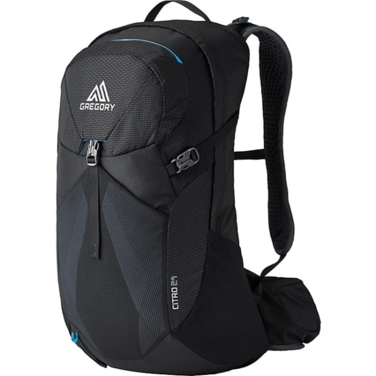 /gregory-citro-24-backpack-10375545/p?skuId=977528