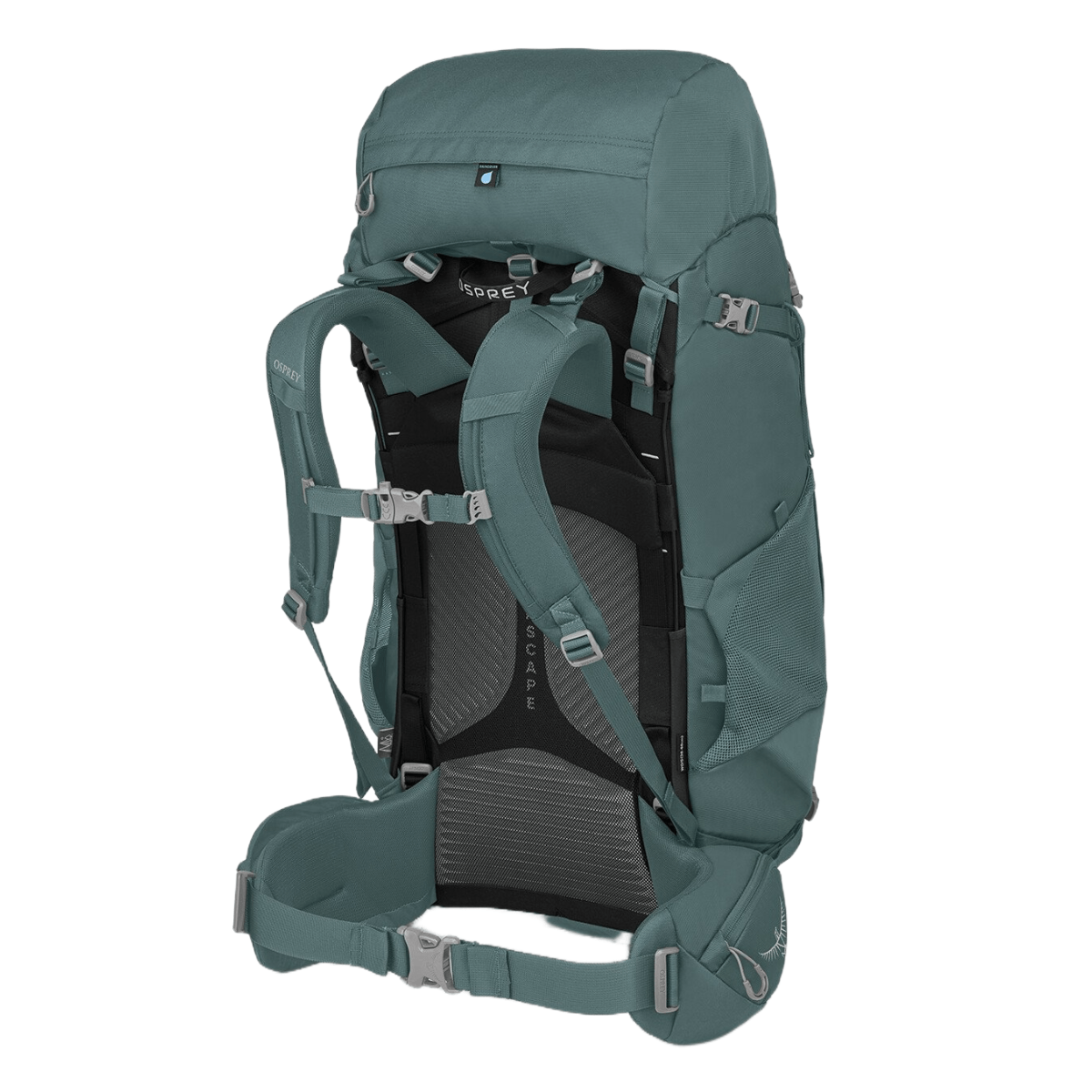 Osprey Women s Viva 65