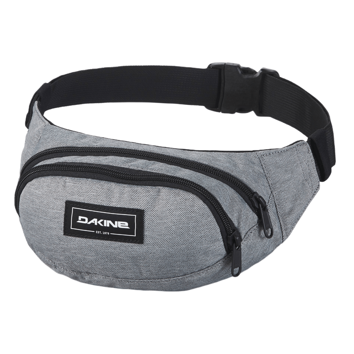 Dakine-Hip-Pack---Geyser-Grey.jpg