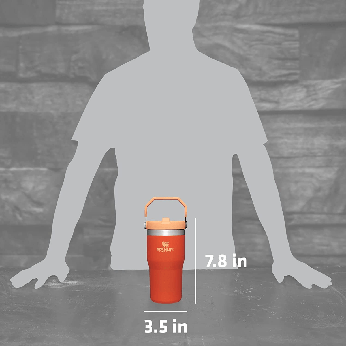 Stanley-The-IceFlow-Flip-Straw-Tumbler---20oz---Tigerlily.jpg