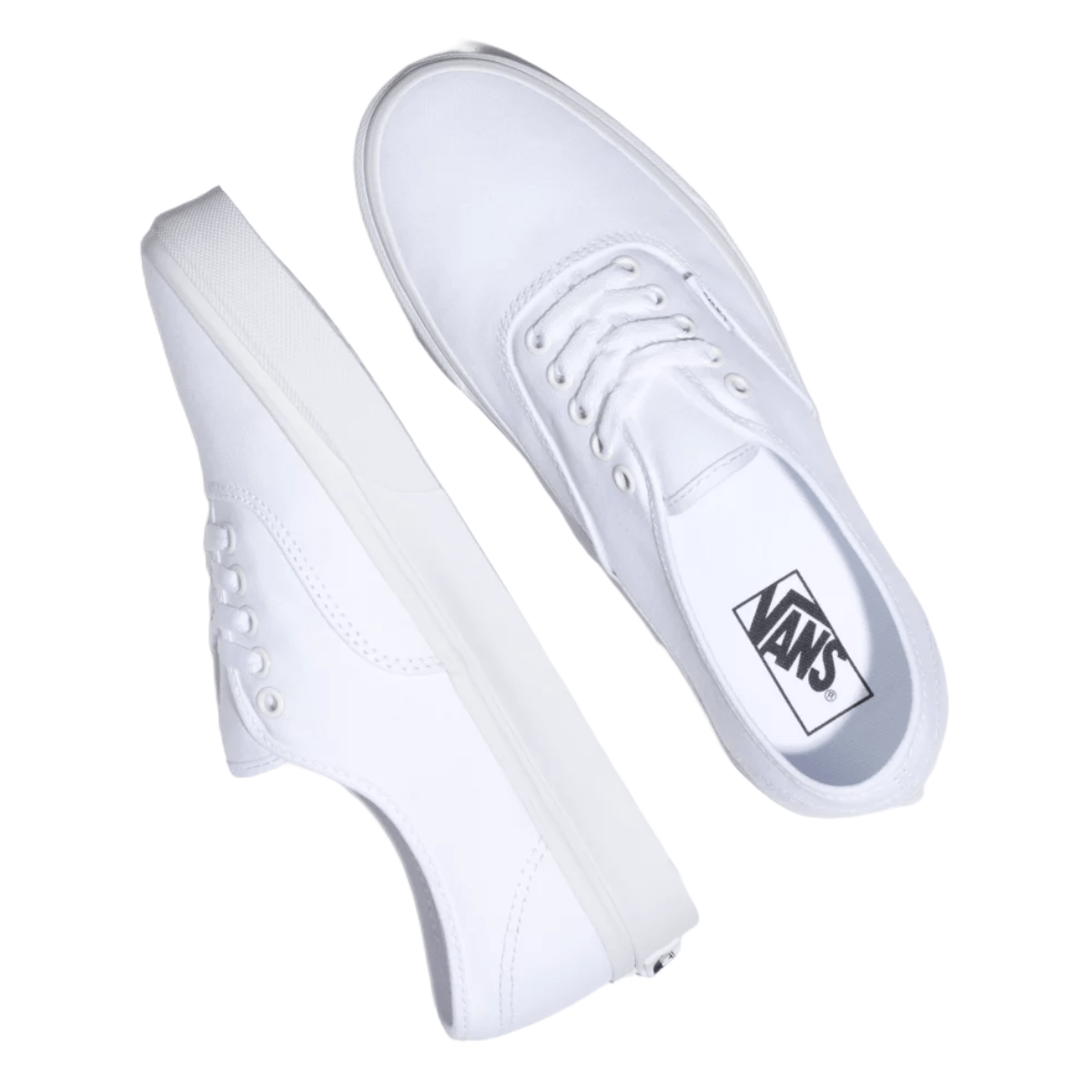 Vans-Authentic-Shoe---True-White.jpg