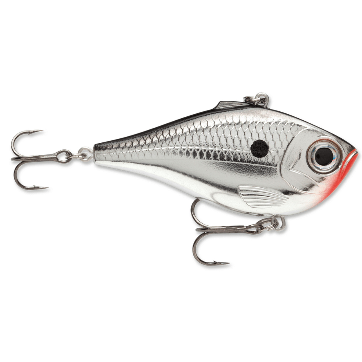 Rapala-Rippin--Rap-Lure---Chrome-.jpg