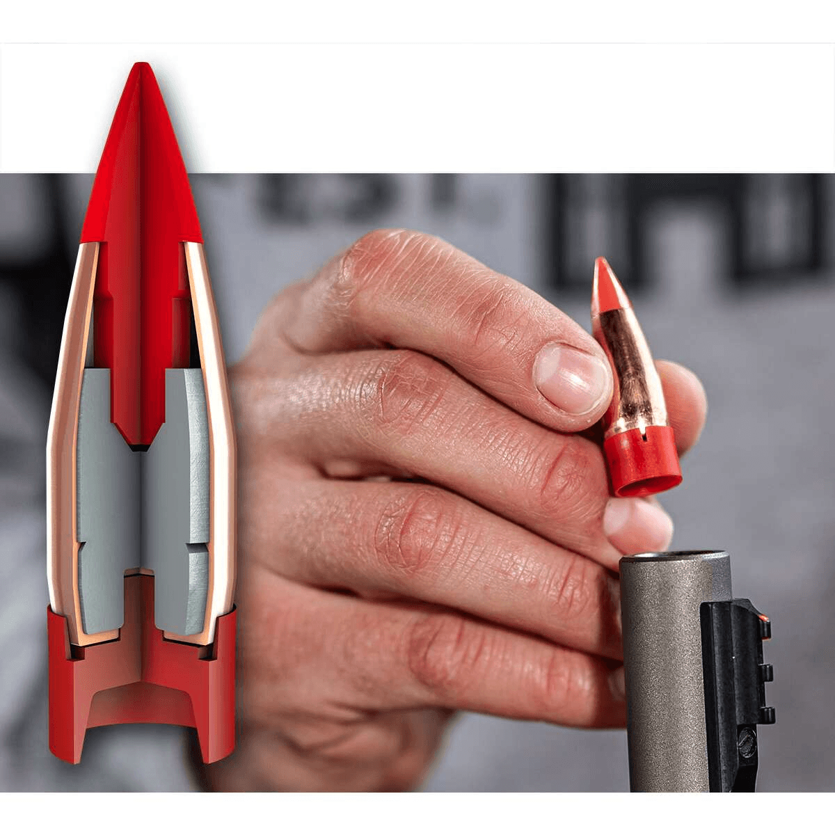 Hornady Bore Driver ELD-X Bullet (12 Box) - Als.com