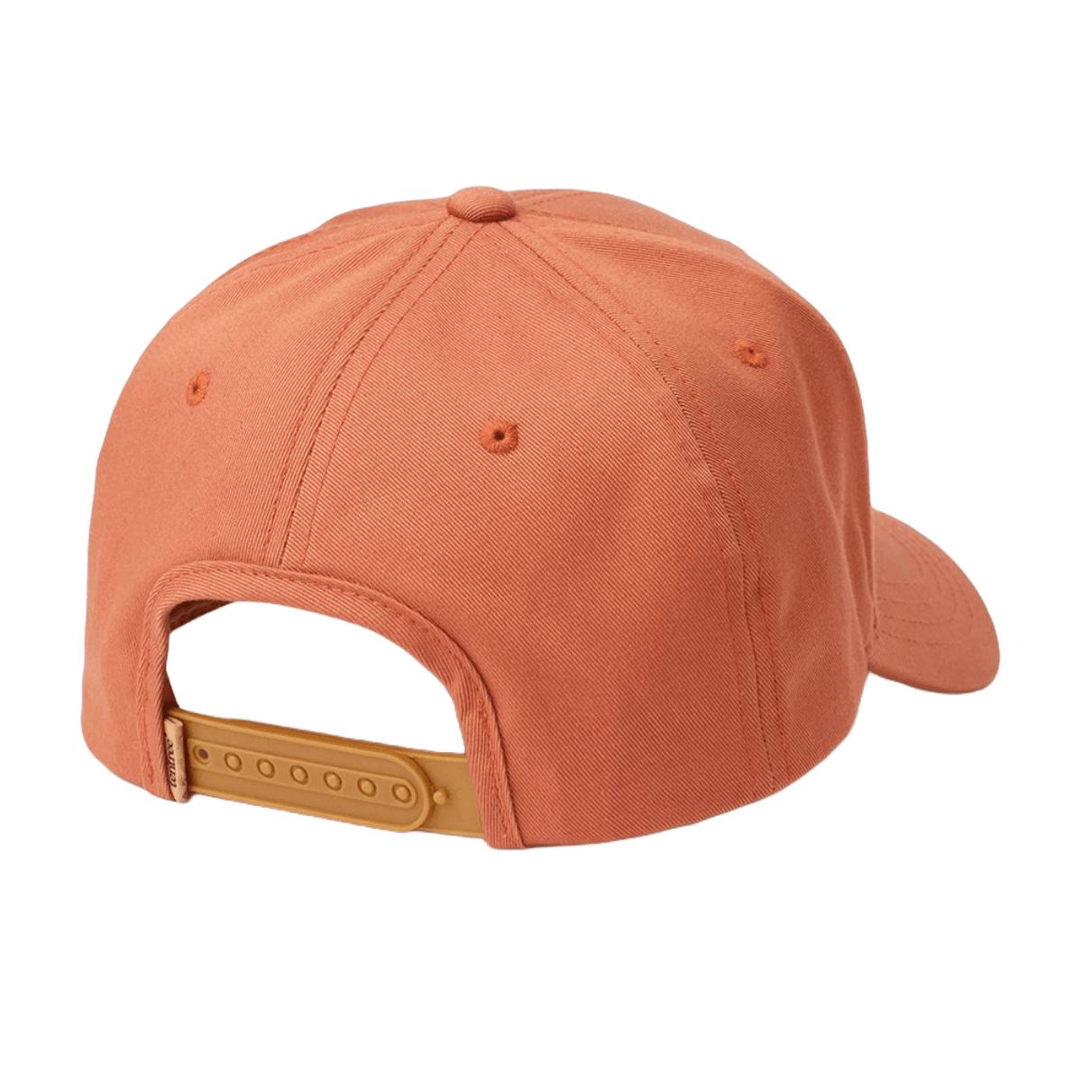 Tentree Cork Icon Elevation Hat