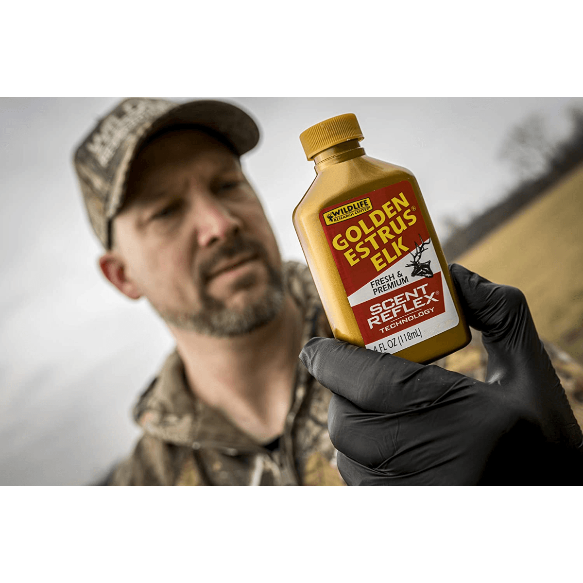 WILDLI-GOLDEN-ESTRUS-ELK-SCENT.jpg