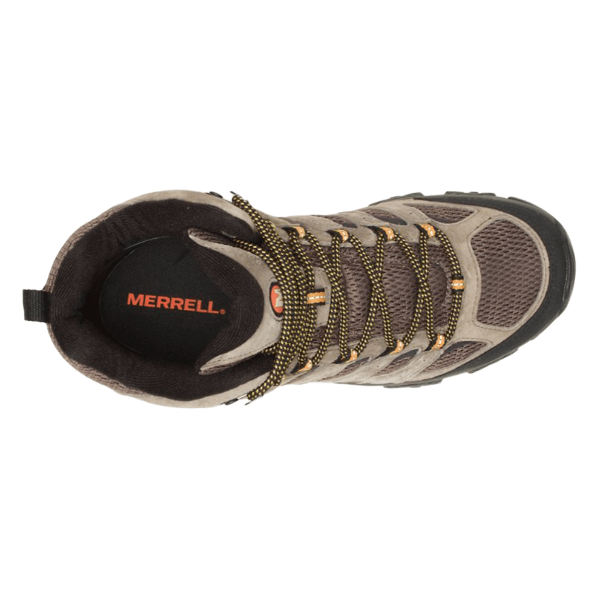MERREL-M-MOAB-3-MID-GTX---Walnut.jpg