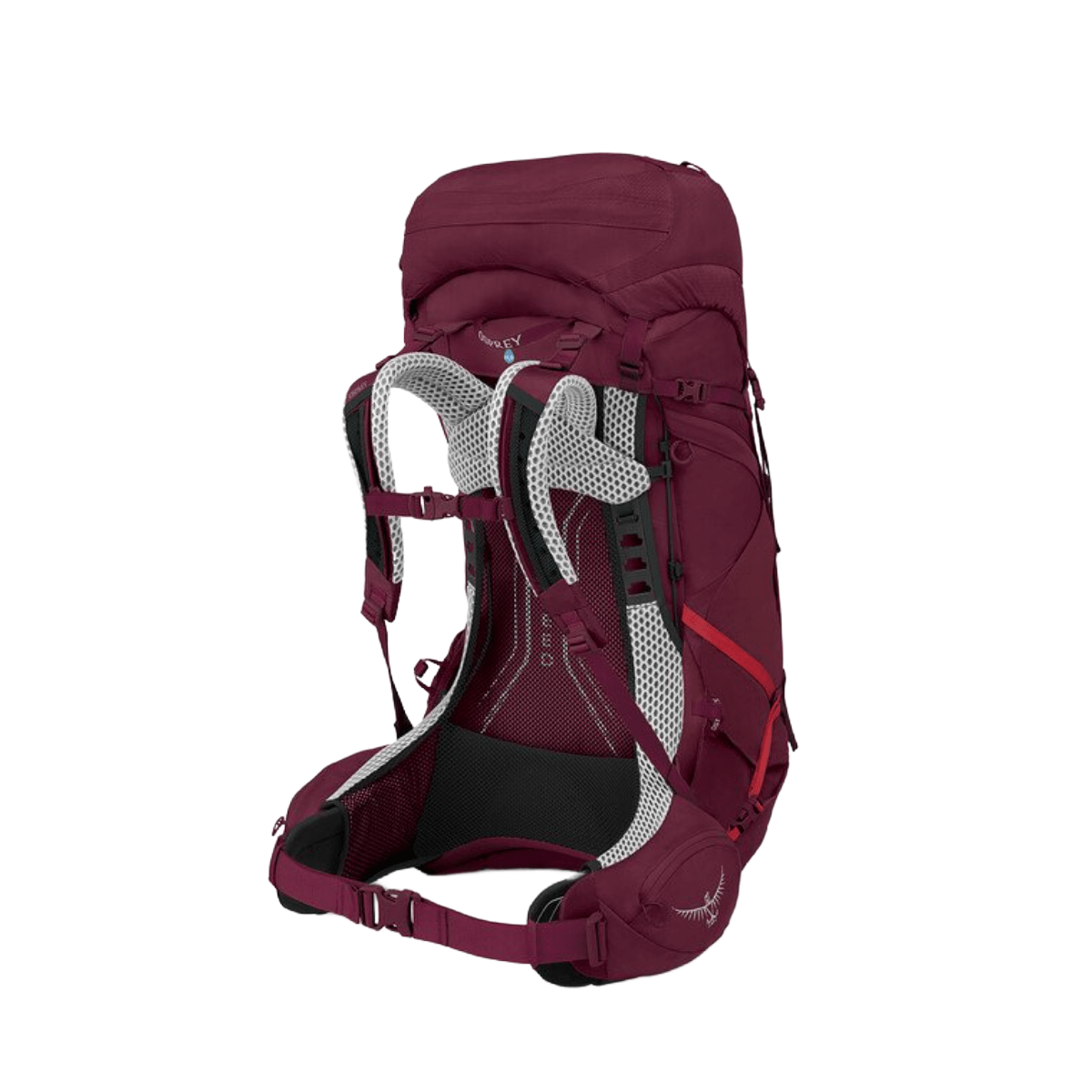 Osprey-Aura-AG-LT-50-Backpacking-Pack---Antidote-Purple