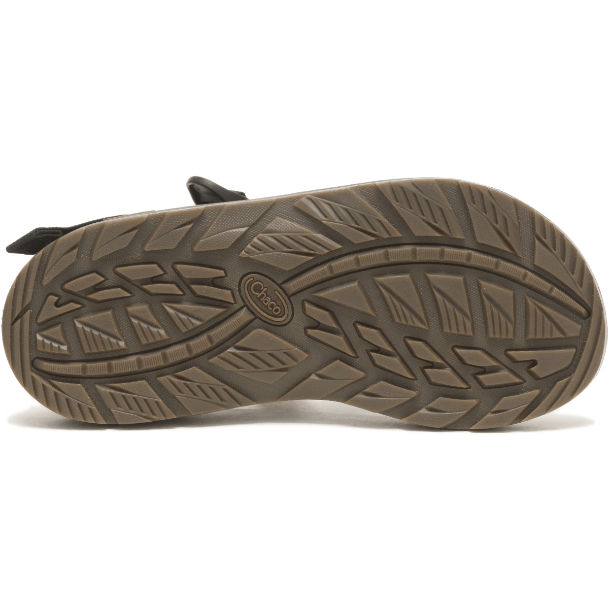 Chaco-Z-1-Classic-Sandal---Men-s---Tetra-Moss.jpg