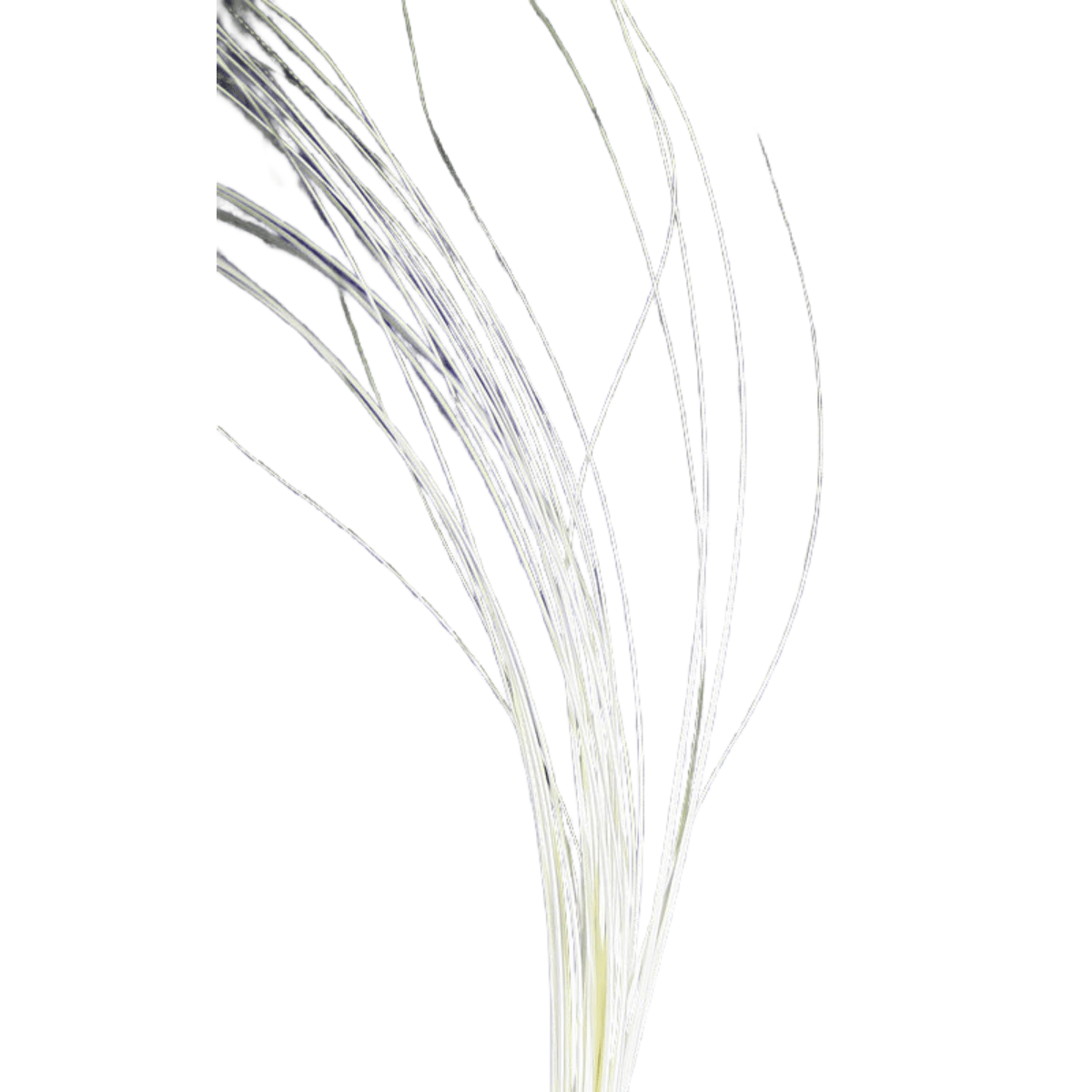 HARELI-QUILL-BODY---White.jpg