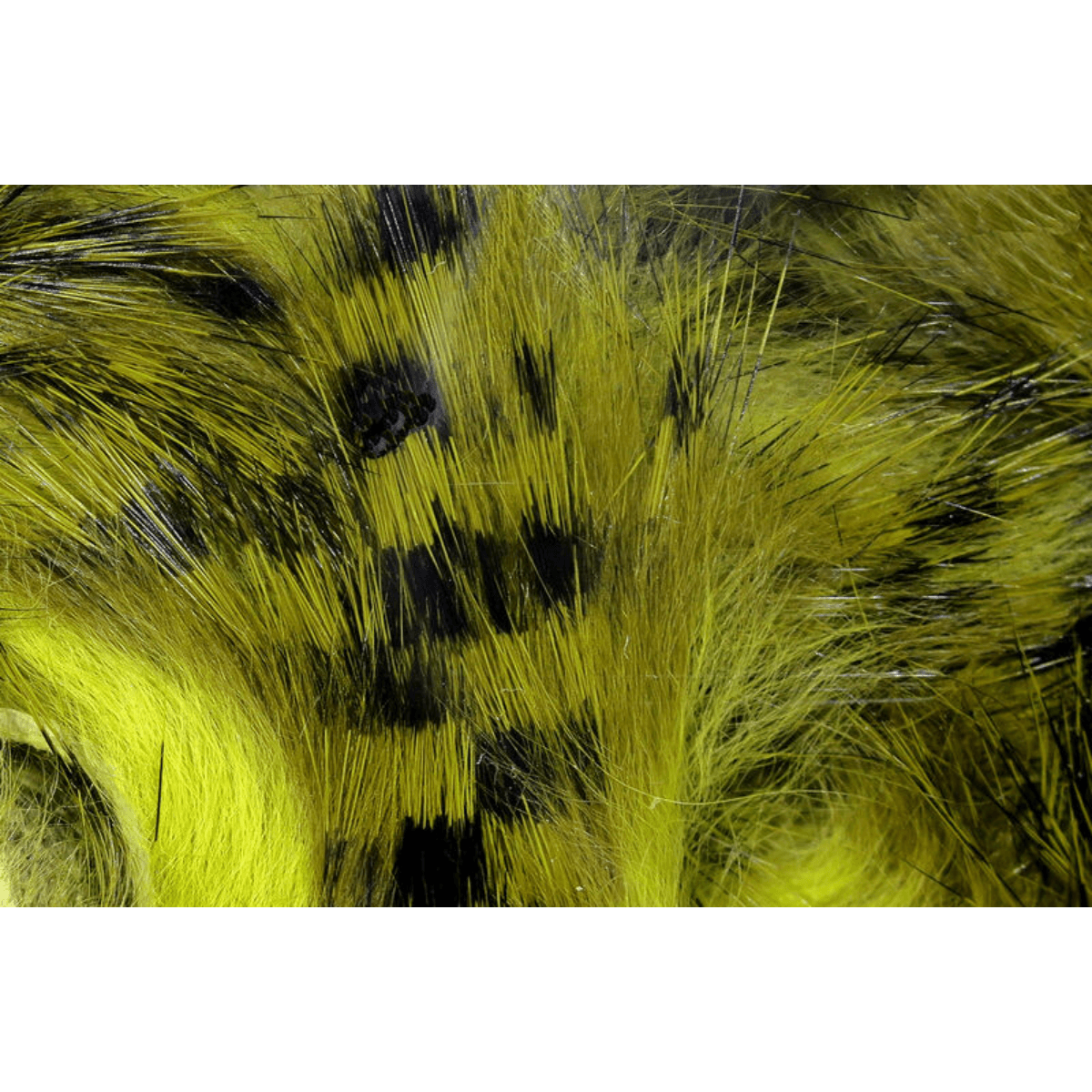 Hareline-Magnum-Tiger-Barred-Strips---13OLVBLKLIGHTOLIVE.jpg
