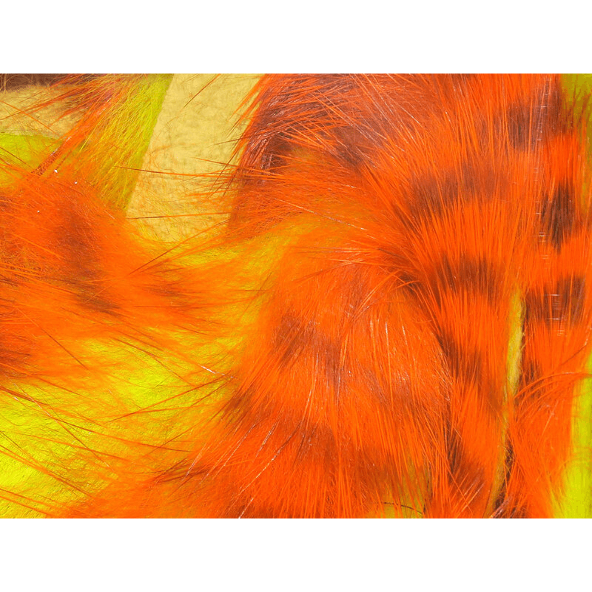 Hareline-Magnum-Tiger-Barred-Strips---Barred-Orange---Black---Chartreuse.jpg