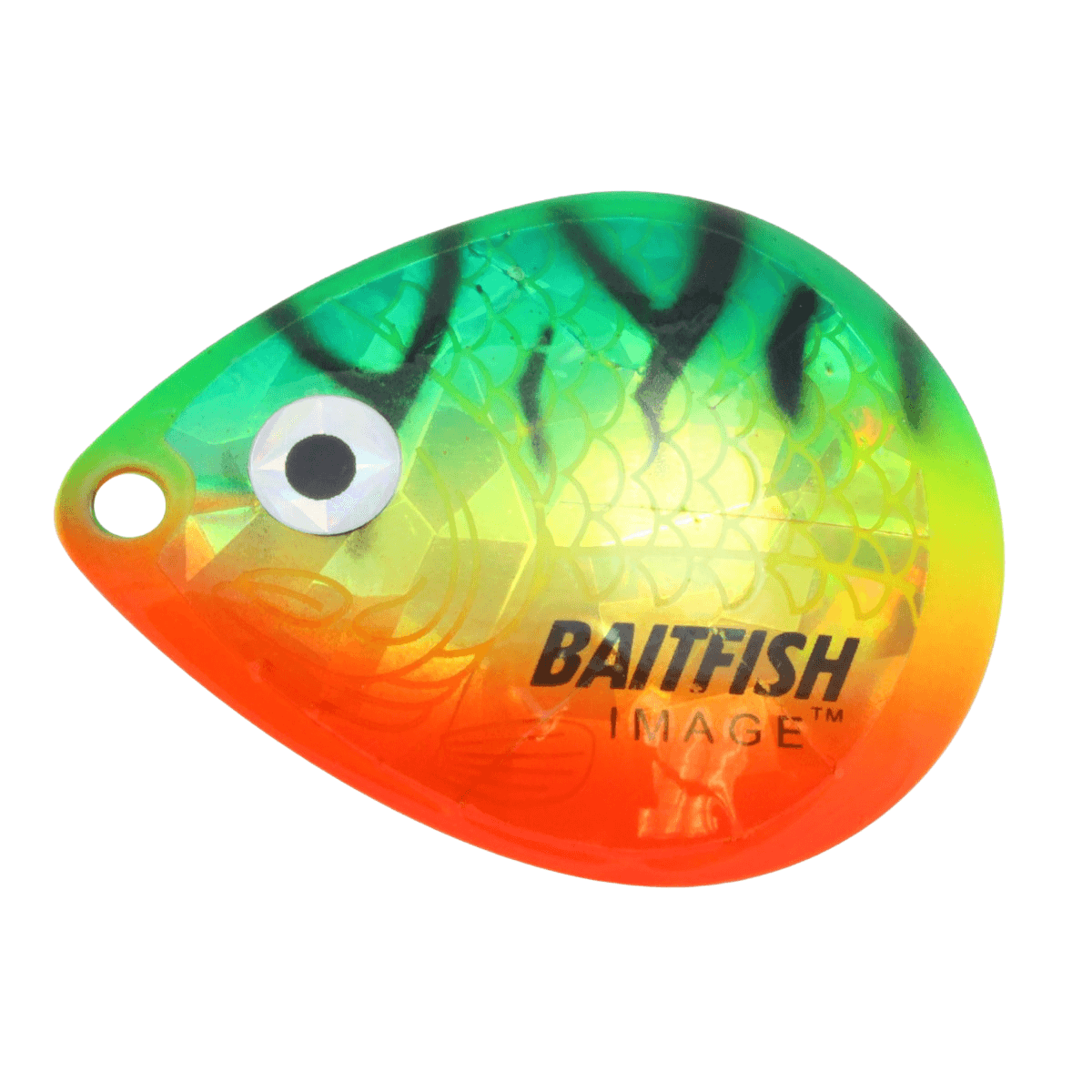 Northland-Tackle-Baitfish-Image-Colorado-Blades---Firetiger.jpg