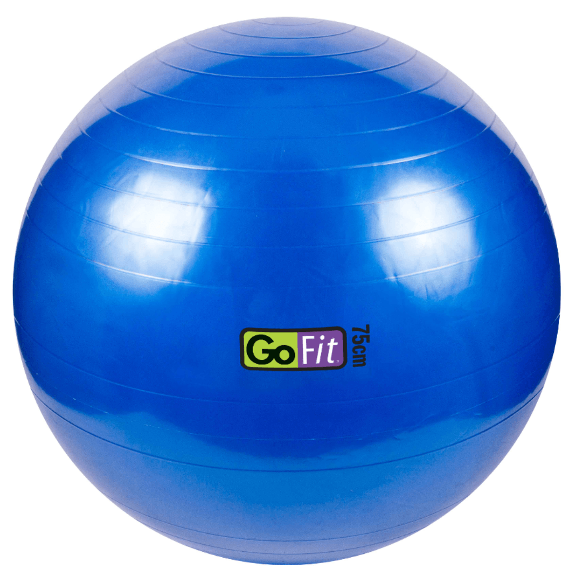 GOFIT-75CM-EXERCISE-BALL.jpg