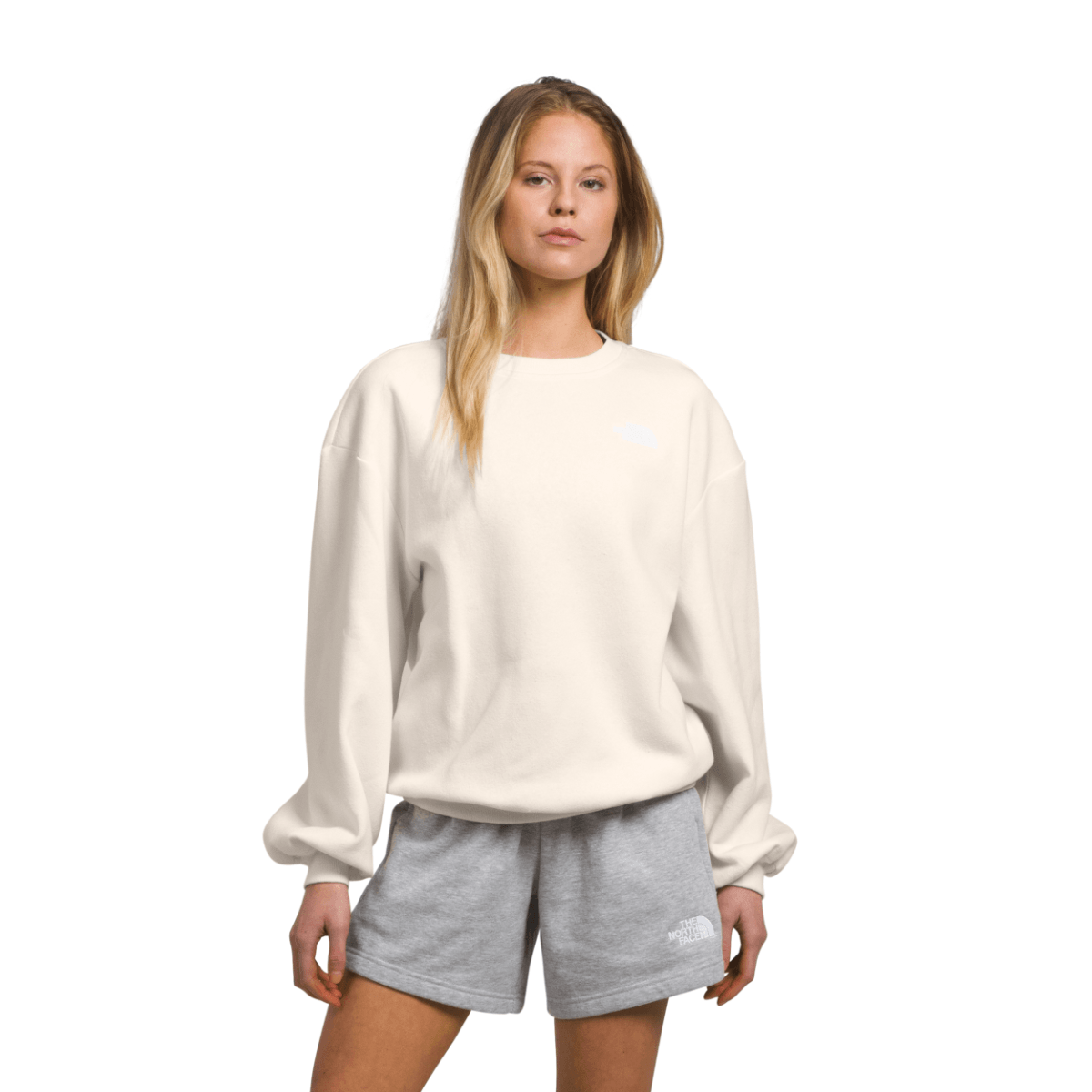 /the-north-face-evolution-oversized-crew-sweatshirt-womens-10492267/p?skuId=1403442