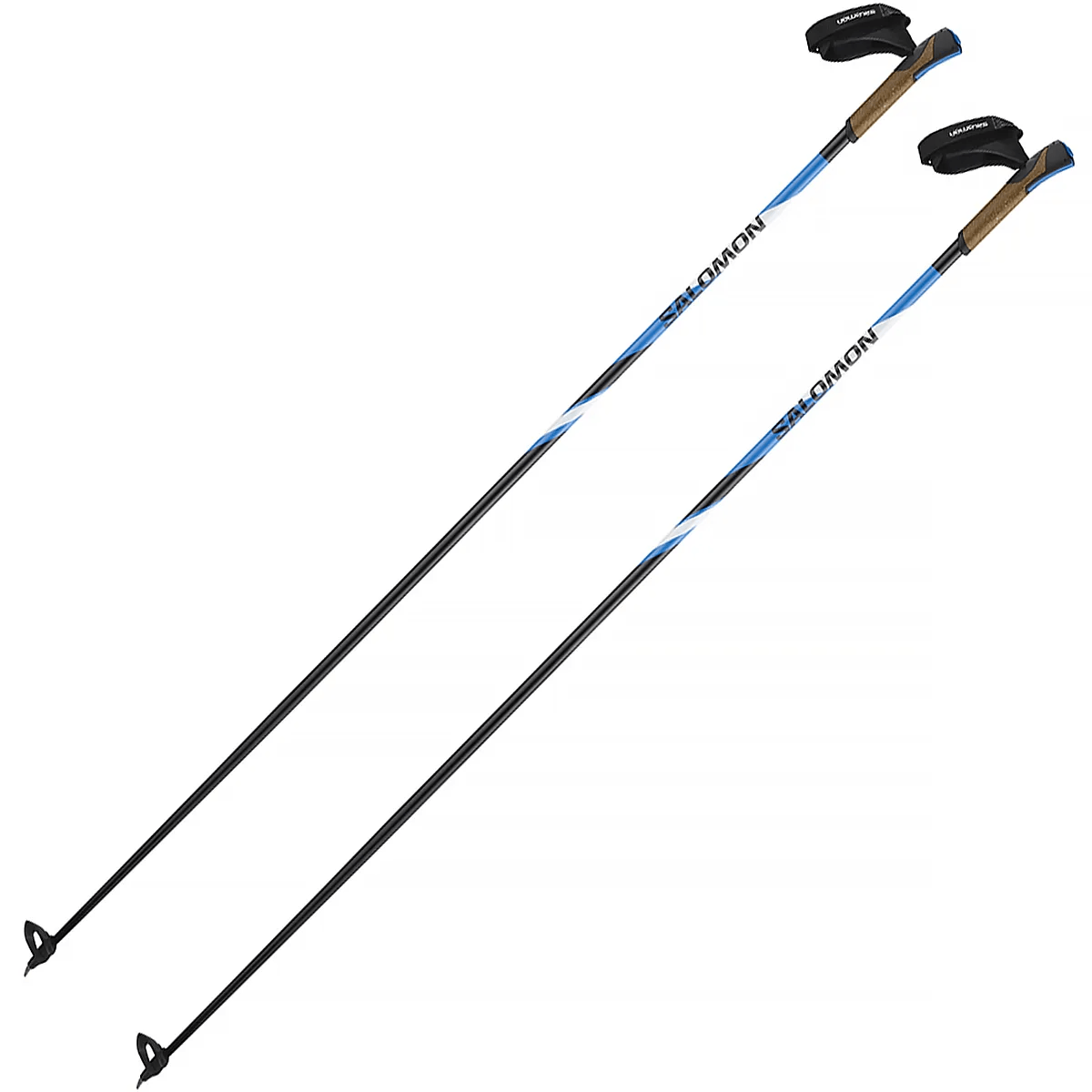 SALMO SKI POLE R 30 CLICK.jpg