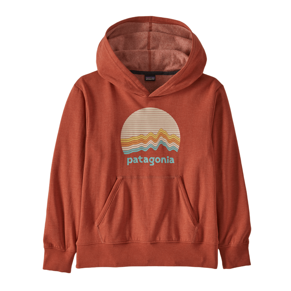 Patagonia graphic hoodie online