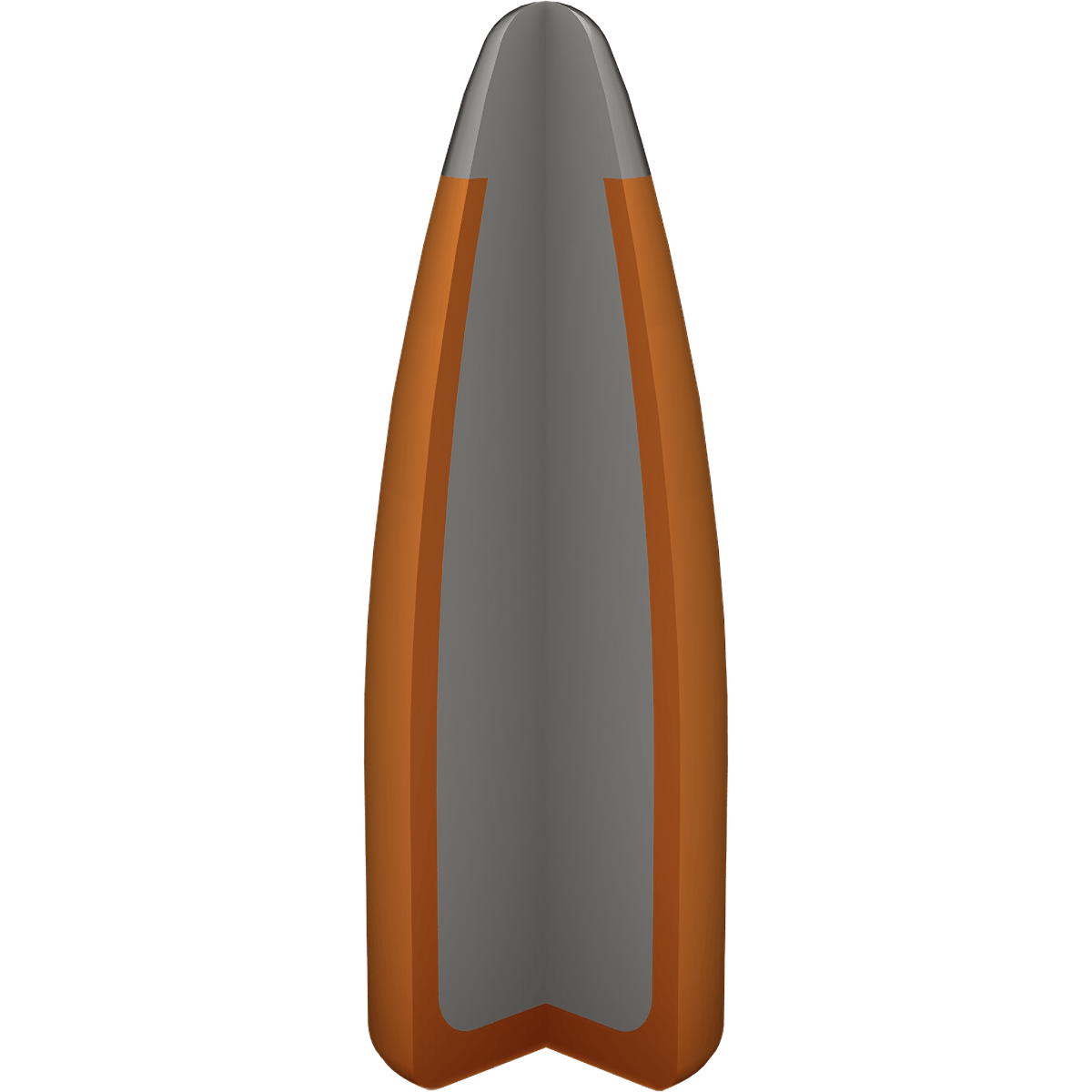 Winchester-Super-X-Ammunition---55GR-PSP.jpg