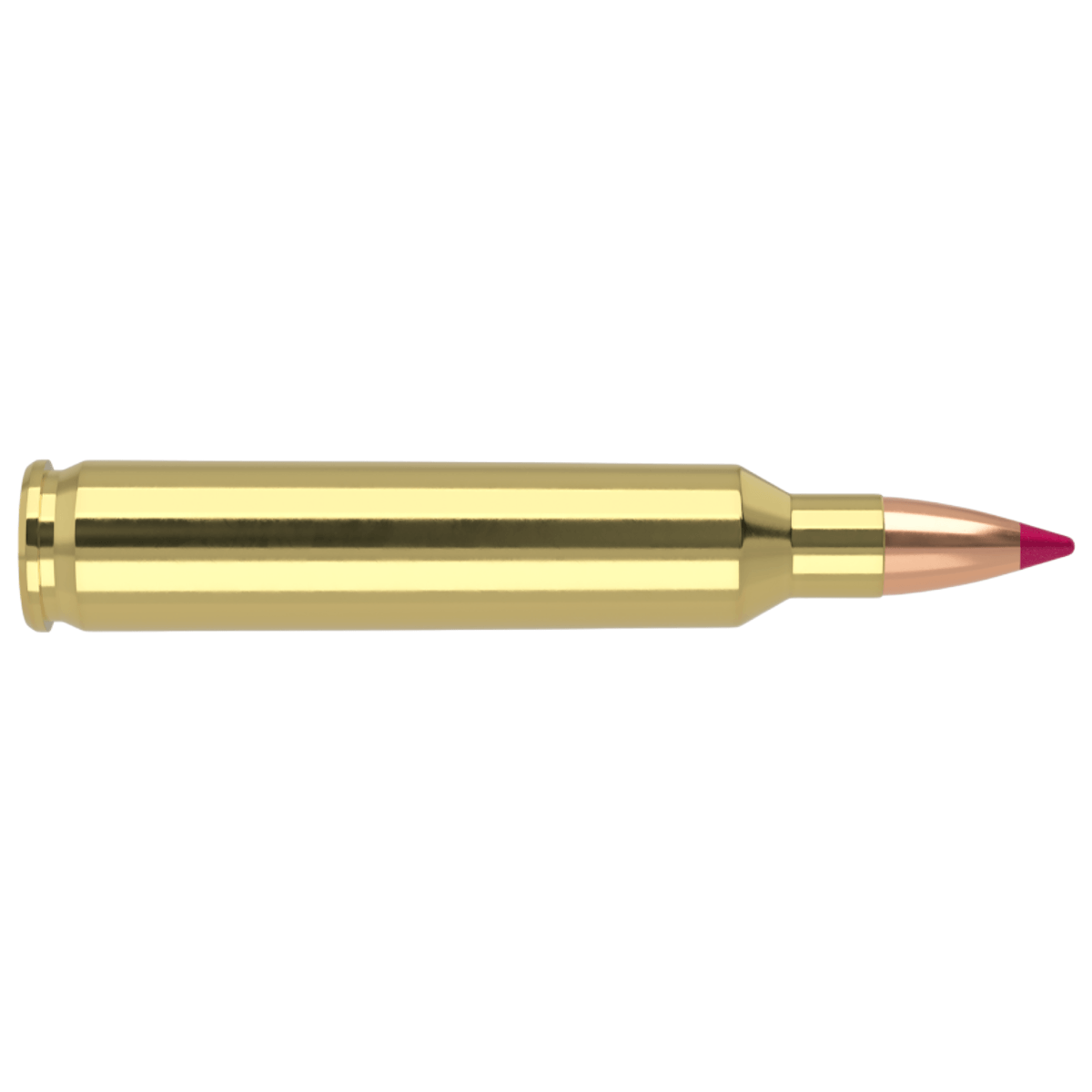 Nosler-Ballistic-Tip-Hunting-Ammunition---32GR.jpg