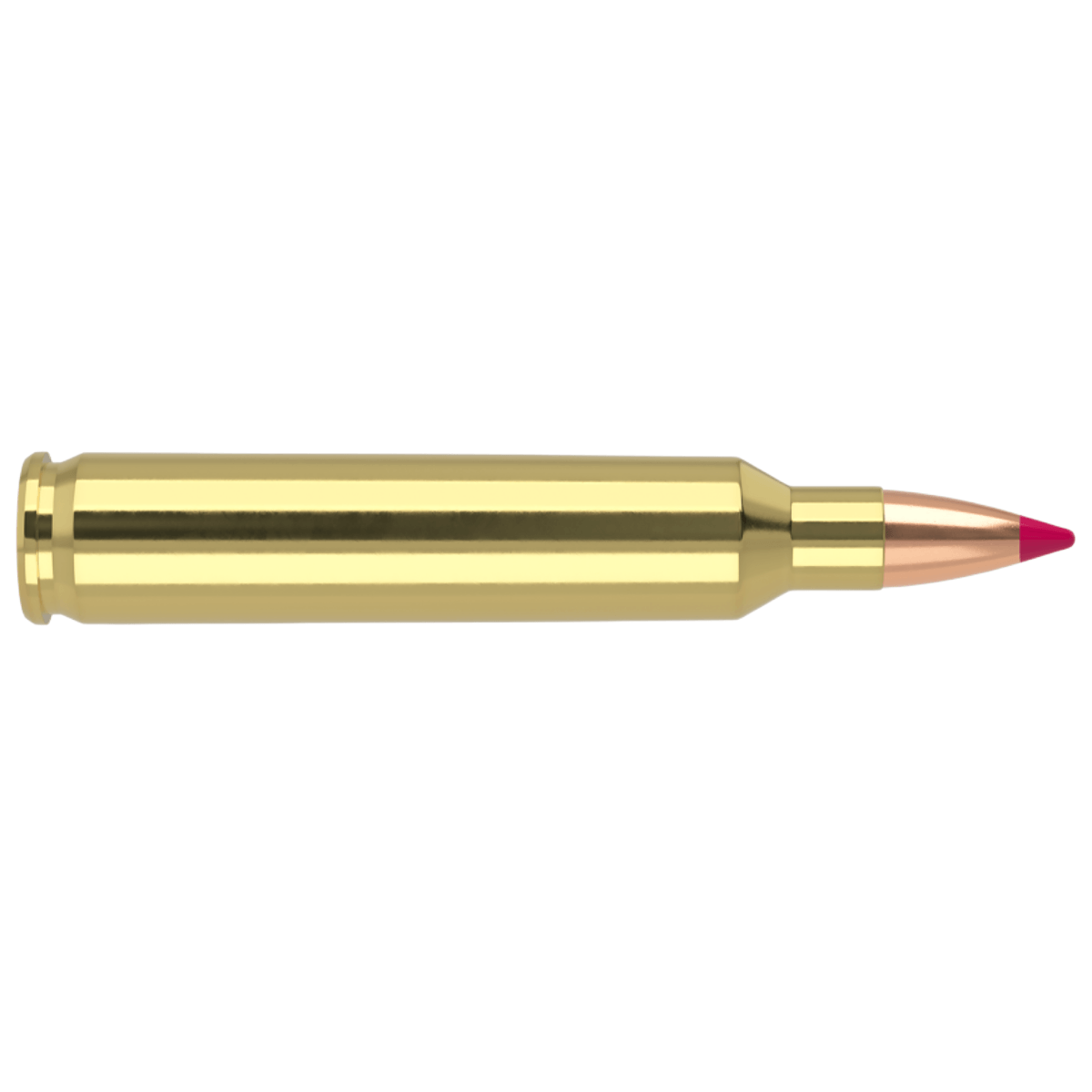Nosler-Ballistic-Tip-Hunting-Ammunition---40GR.jpg