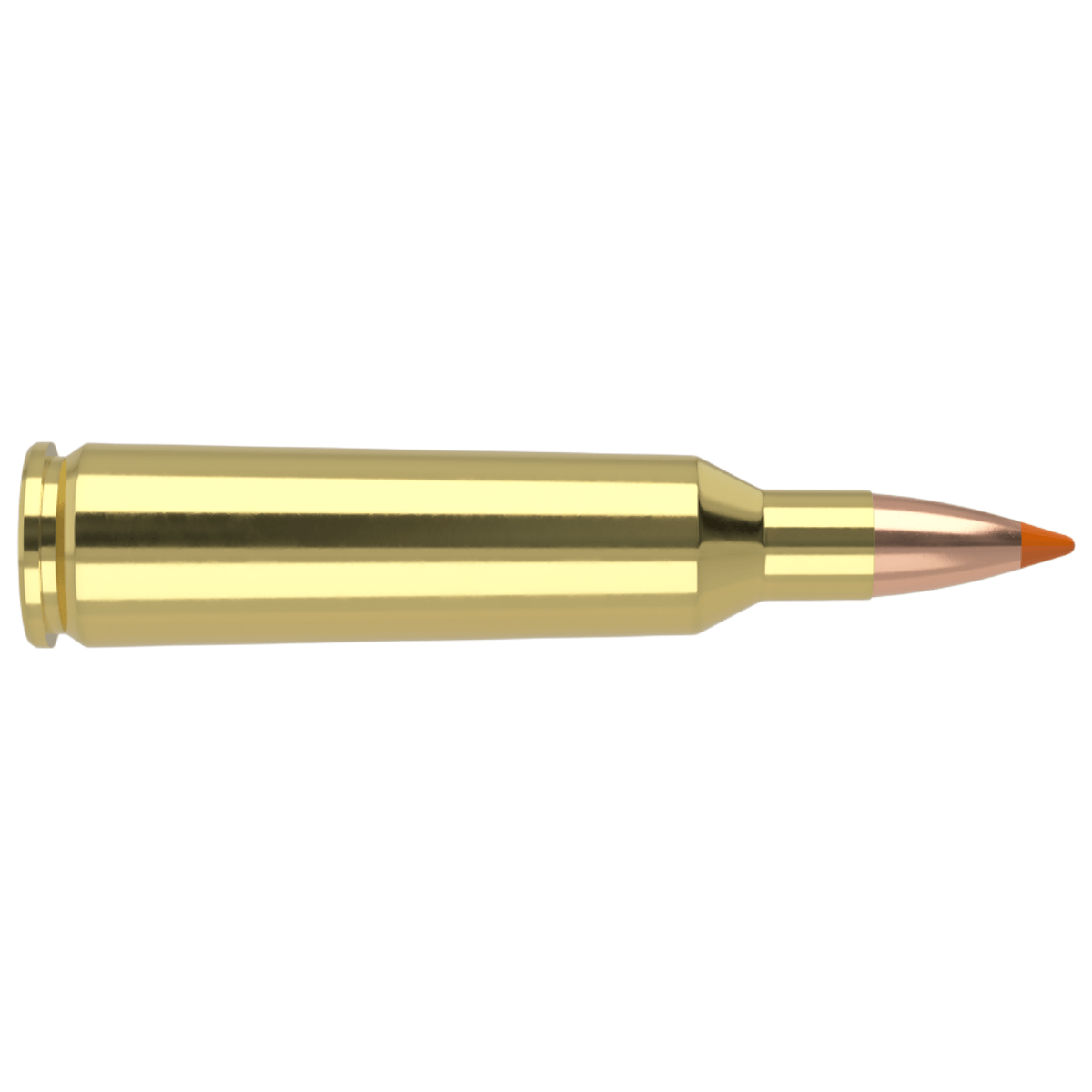Nosler-Ballistic-Tip-Hunting-Ammunition---55GR.jpg